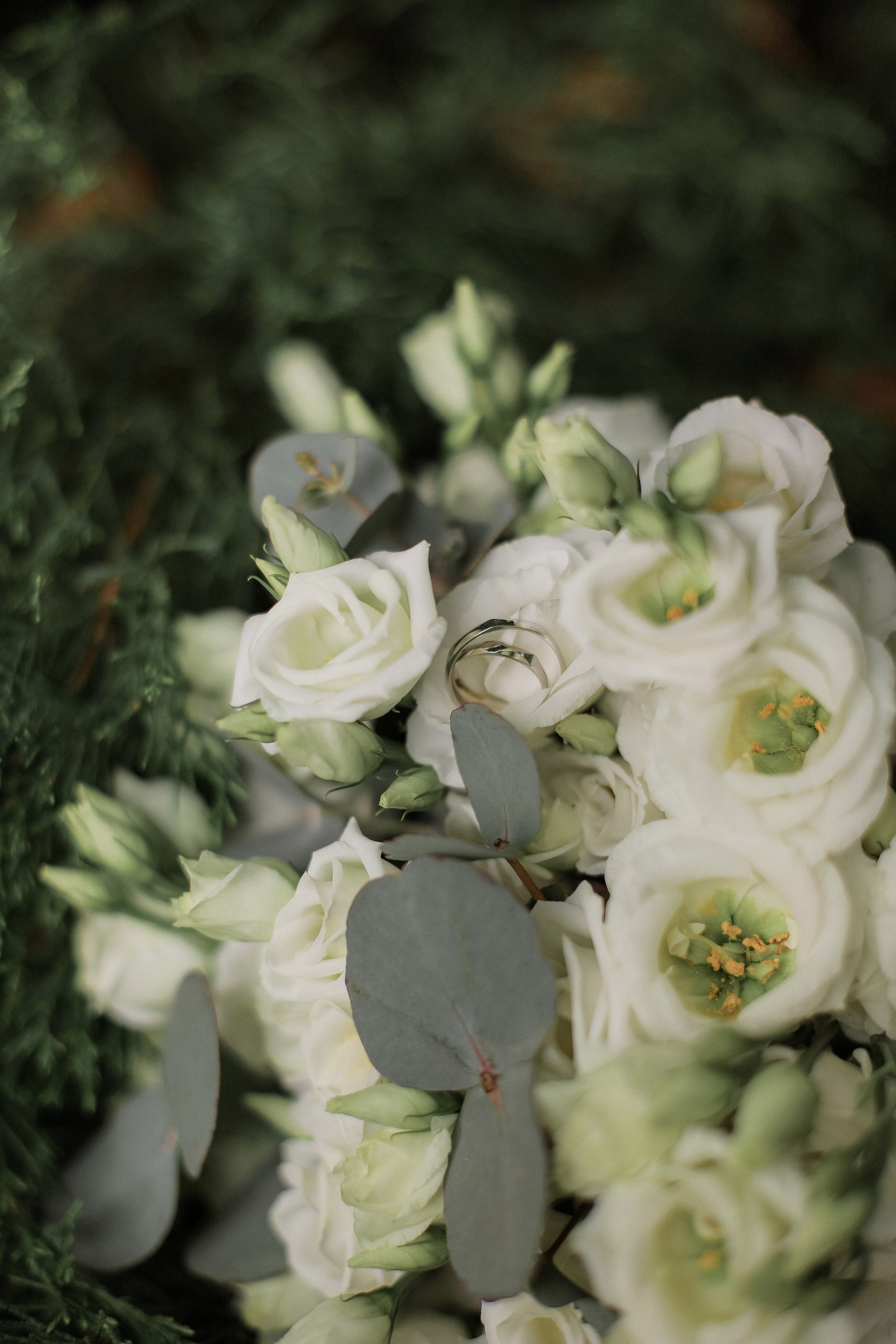 Александр и Анастасия. Свадебный, семейный и детский фотограф в Люберцах Зайцева Анастасия