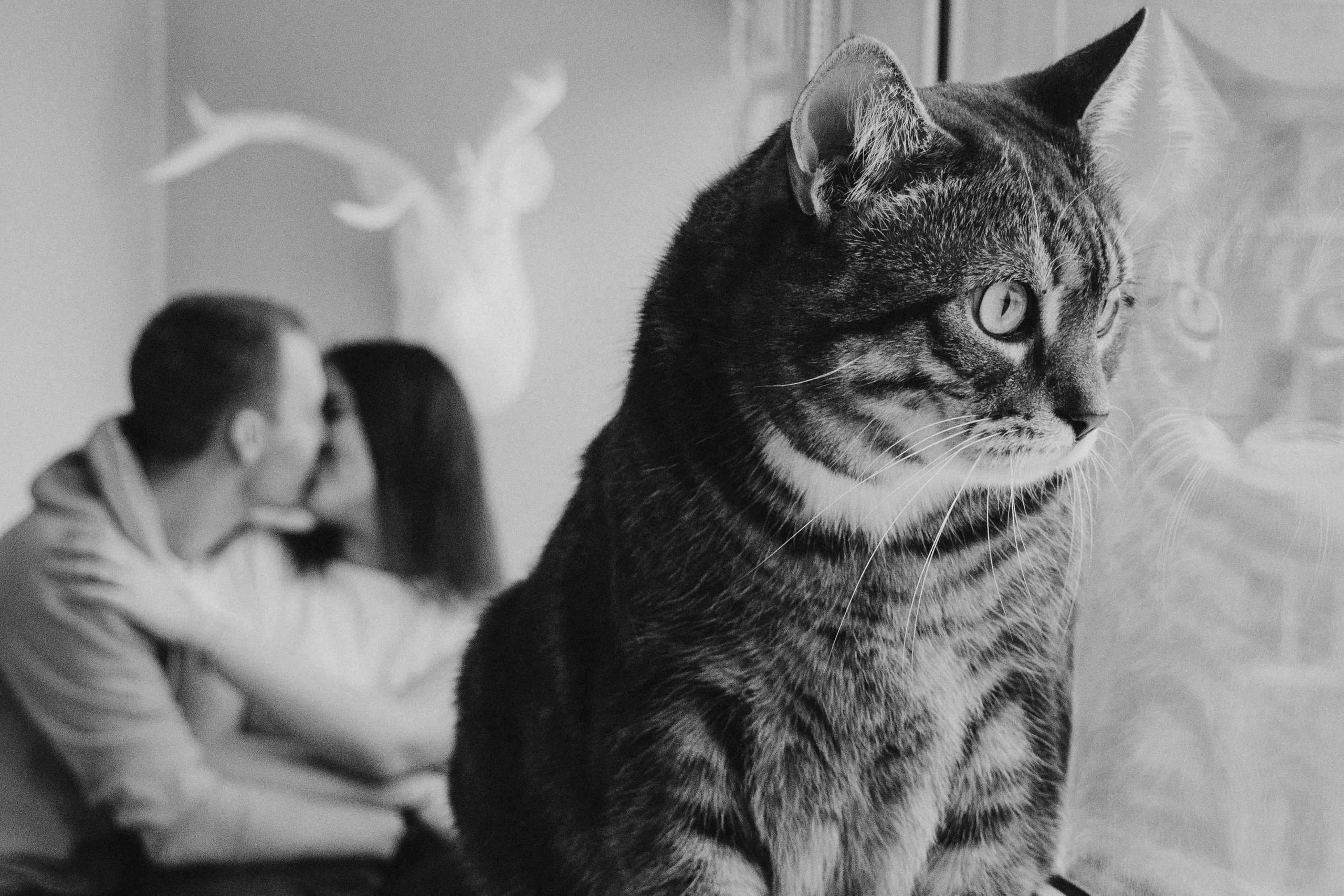 Фотограф Москва Алёна Суворова