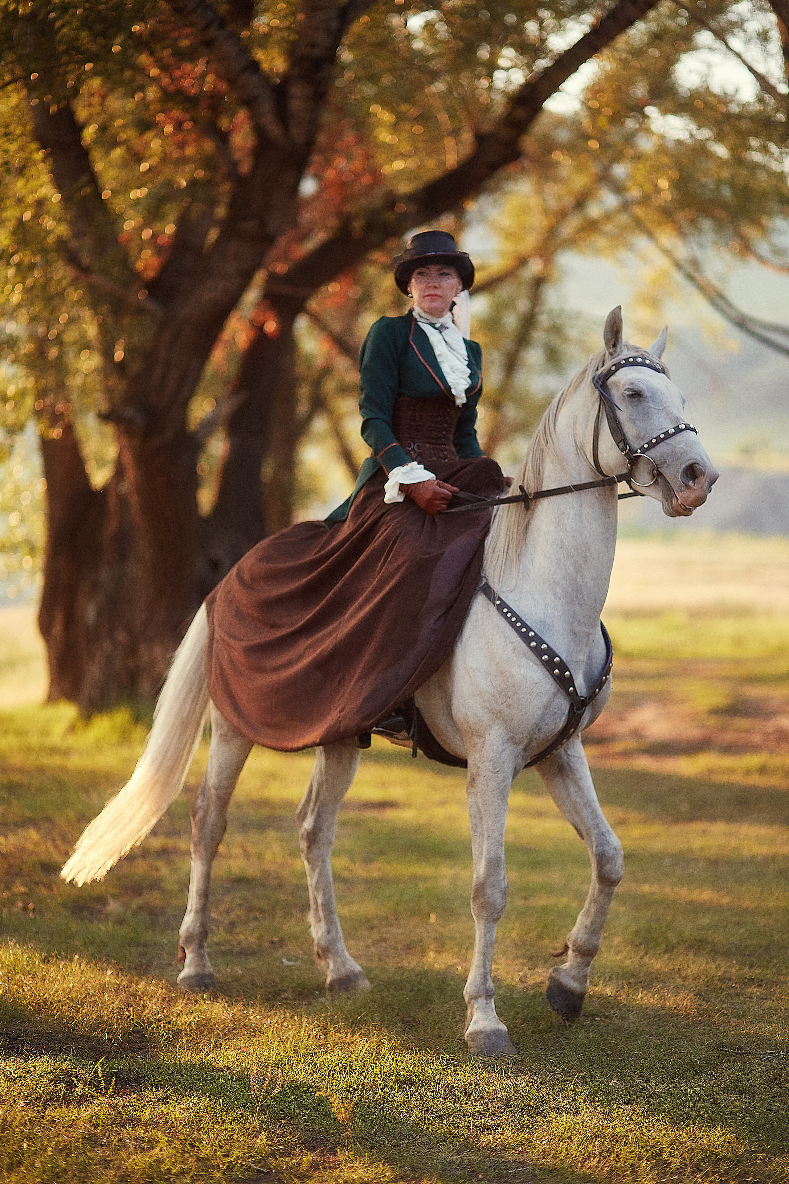 Грациозная наездница. Контент фотограф Мясникова Наталья Абакан/Минусинск