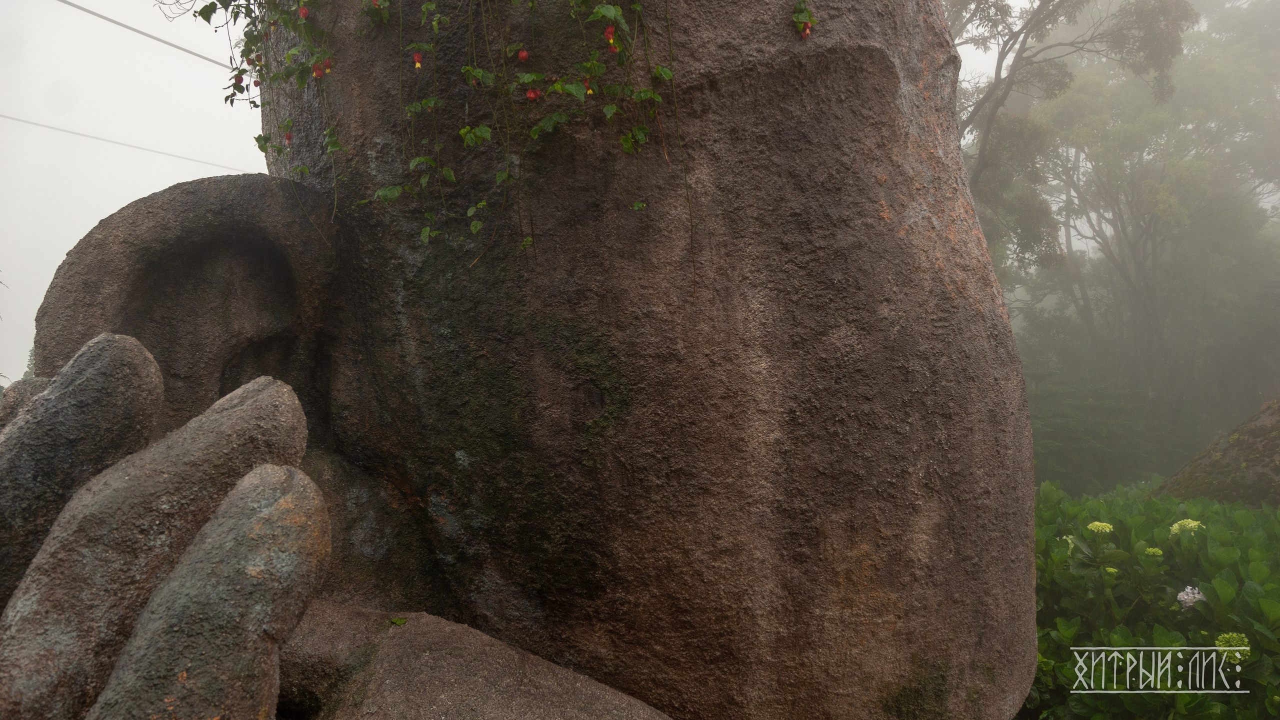 Вьетнам. Фотограф-путешественник Самойлов Максим «Sly Fox»