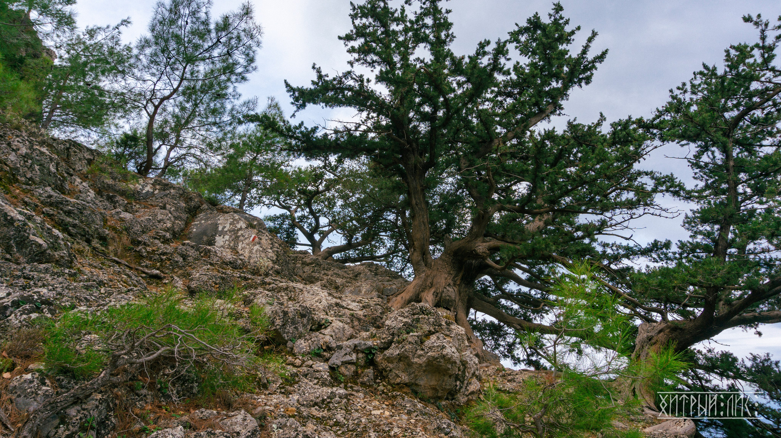 Турция. Ликийский путь. Фотограф-путешественник Самойлов Максим «Sly Fox»