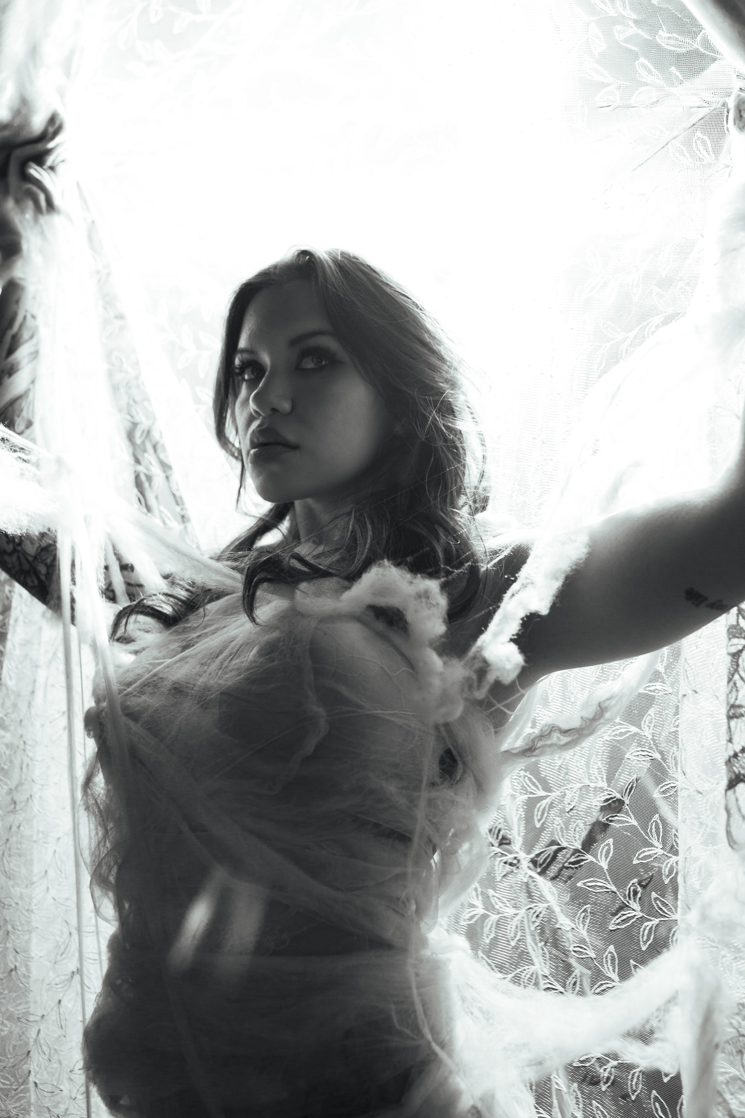 Diibae spider. Фотограф из Санкт-Петербурга Валерия Ленских