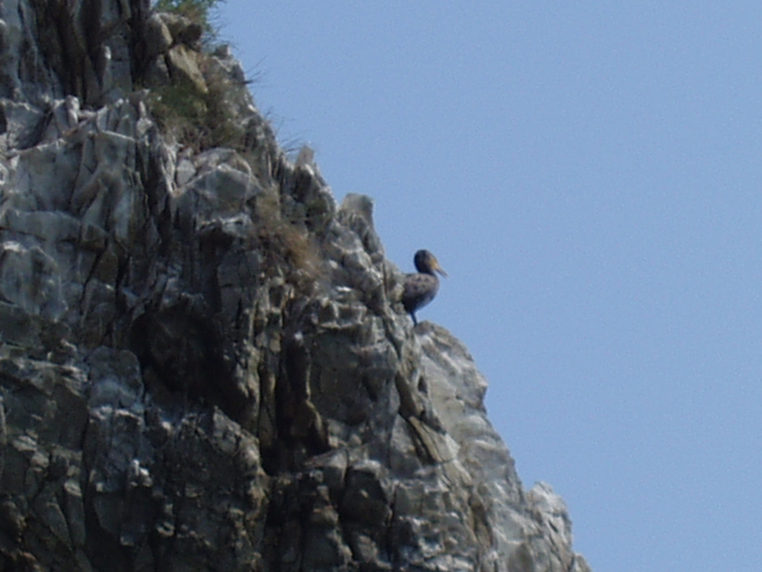 Отпуск 13.07-24.08. Семейный, Свадебный фотограф СПБ Питер— Романова Екатерина