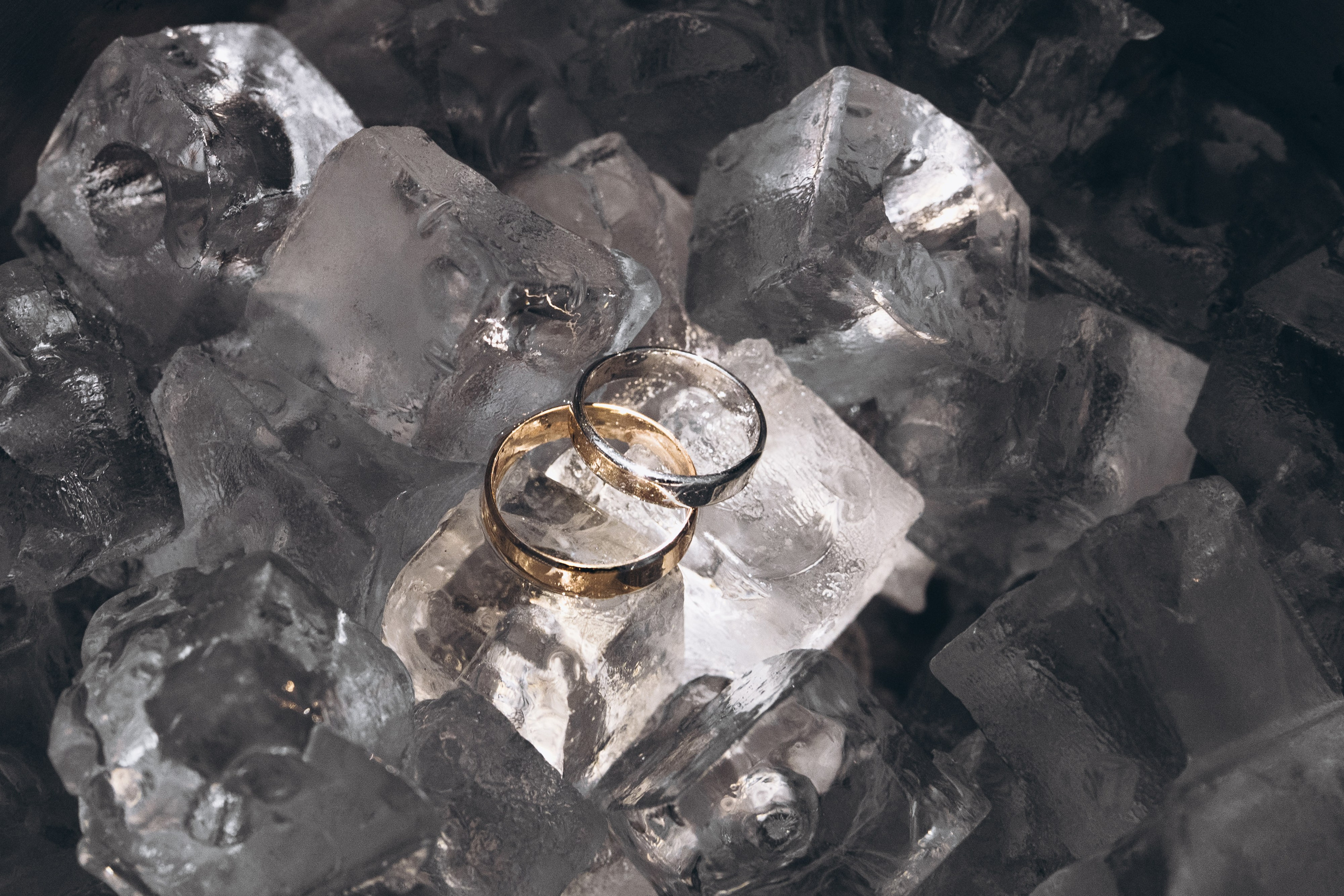 03.08.25 Артем & Анастасия. Свадебный и семейный фотограф в Новосибирске Дарья Кель