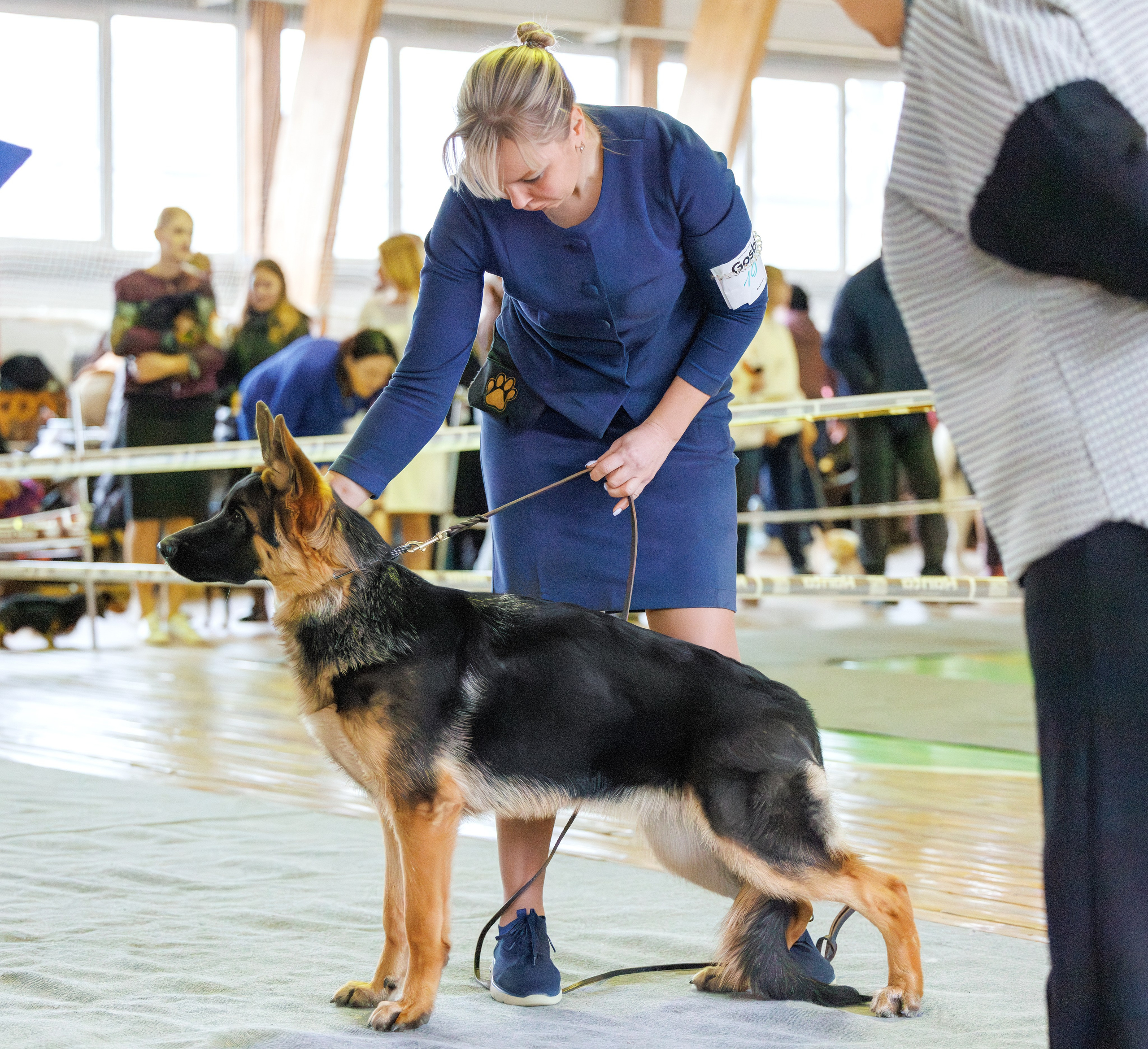 Тверь 21.12.2025. Фотограф-анималист Юлия Германика