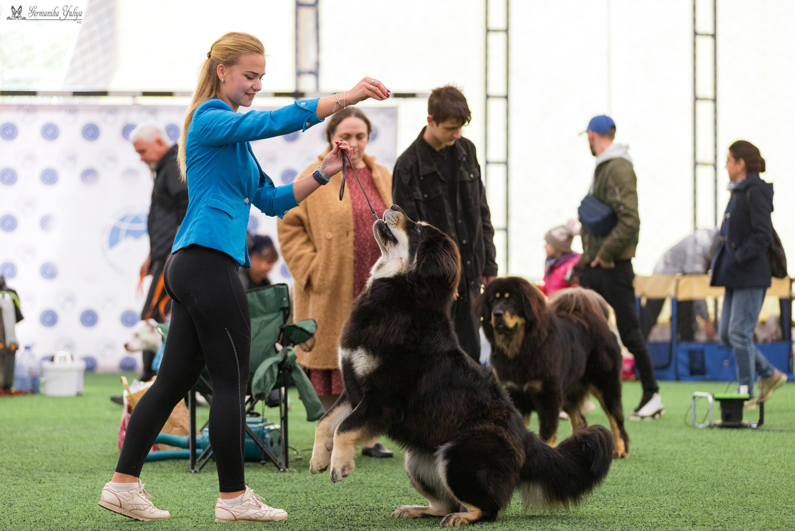 Ташкент 6-8.10.2023 + Алматы 14-15.10.2023. Фотограф-анималист Юлия Германика