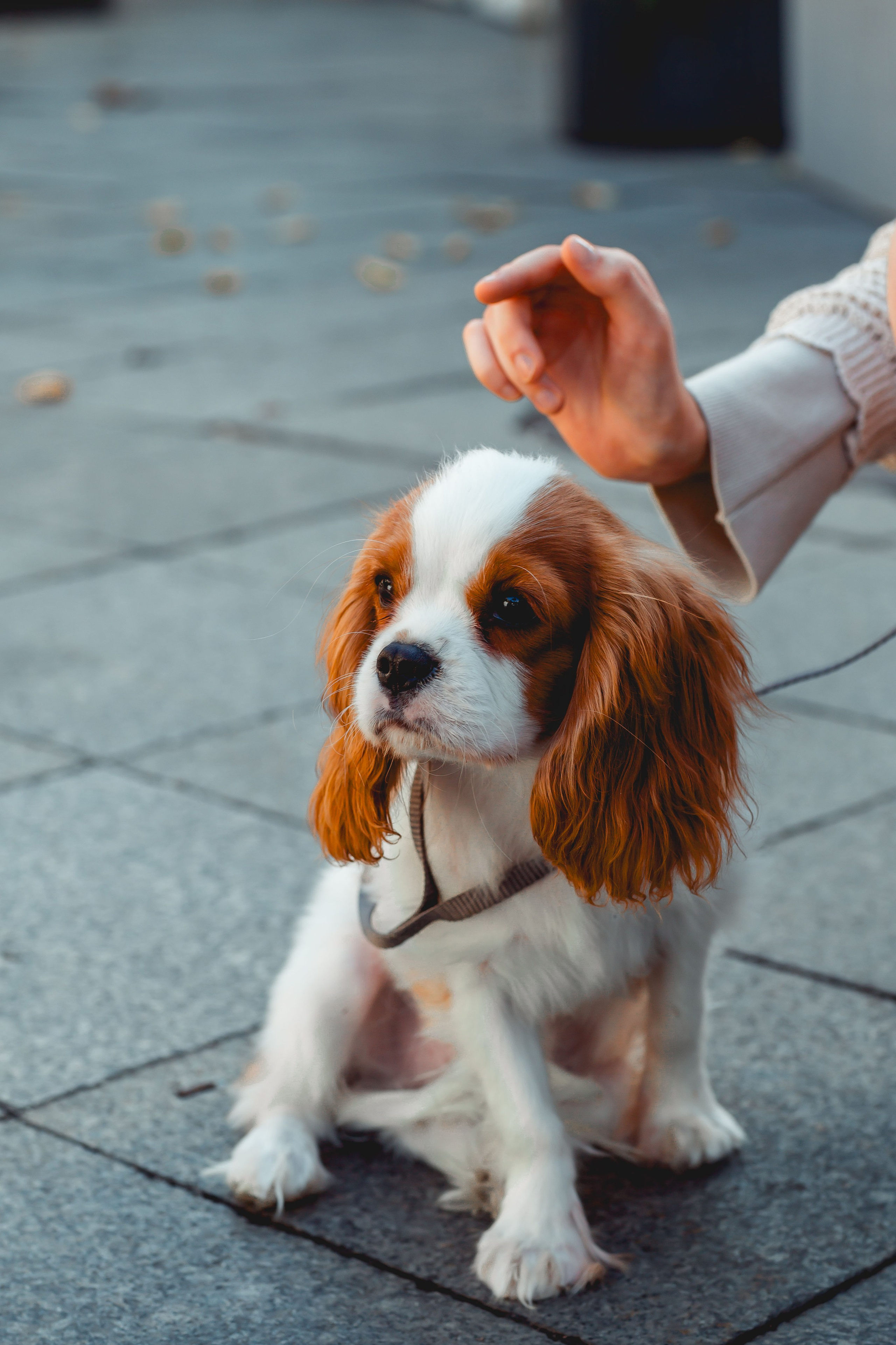 Прогулки. Юлиана Самотос — Ваш фотограф в Москве