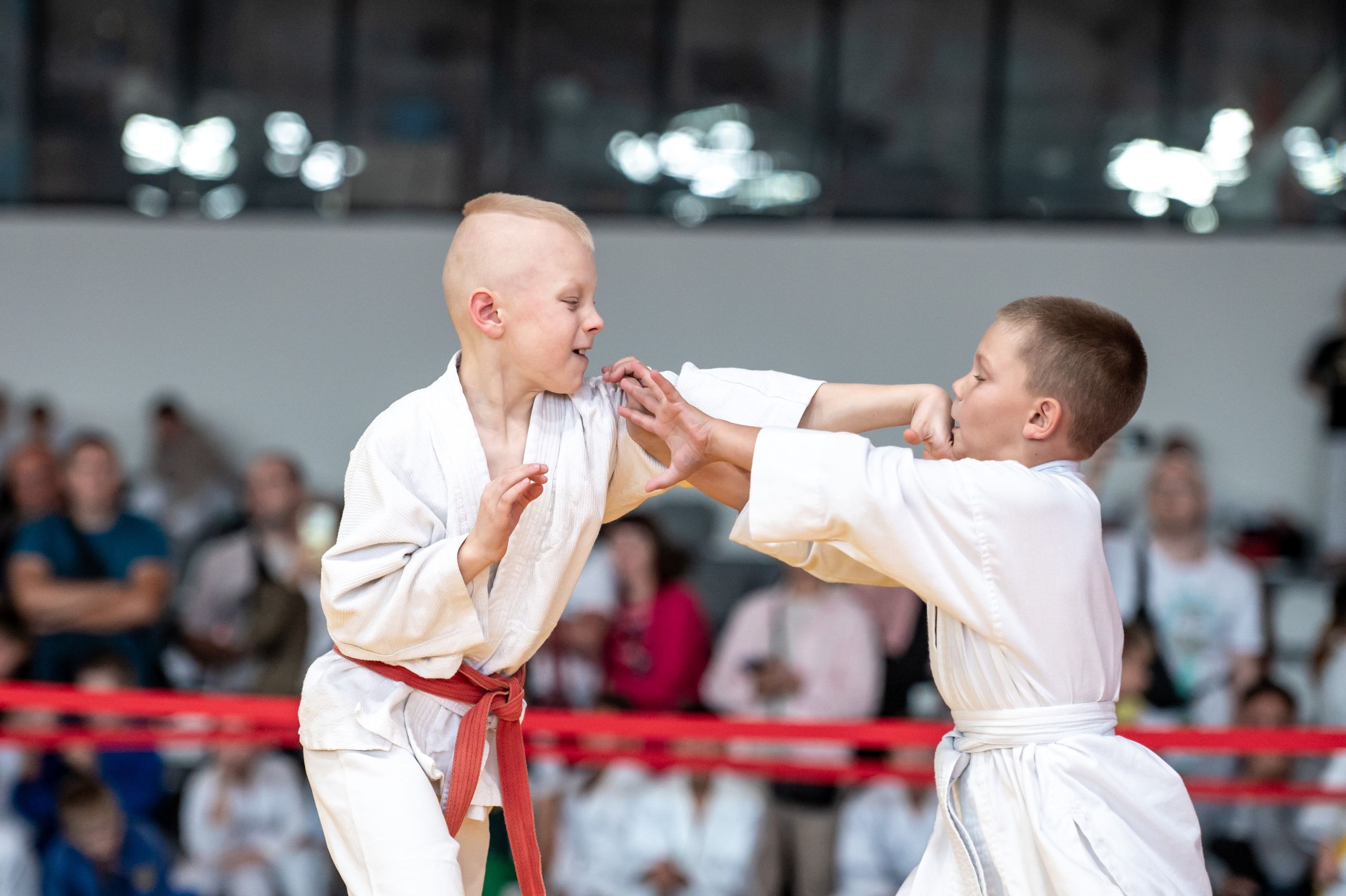 Турнир по дзюдо «Тульский левша», сентябрь 2024. Спортивный фотограф в Туле и Тульской области. Файсханова Фото Спорт