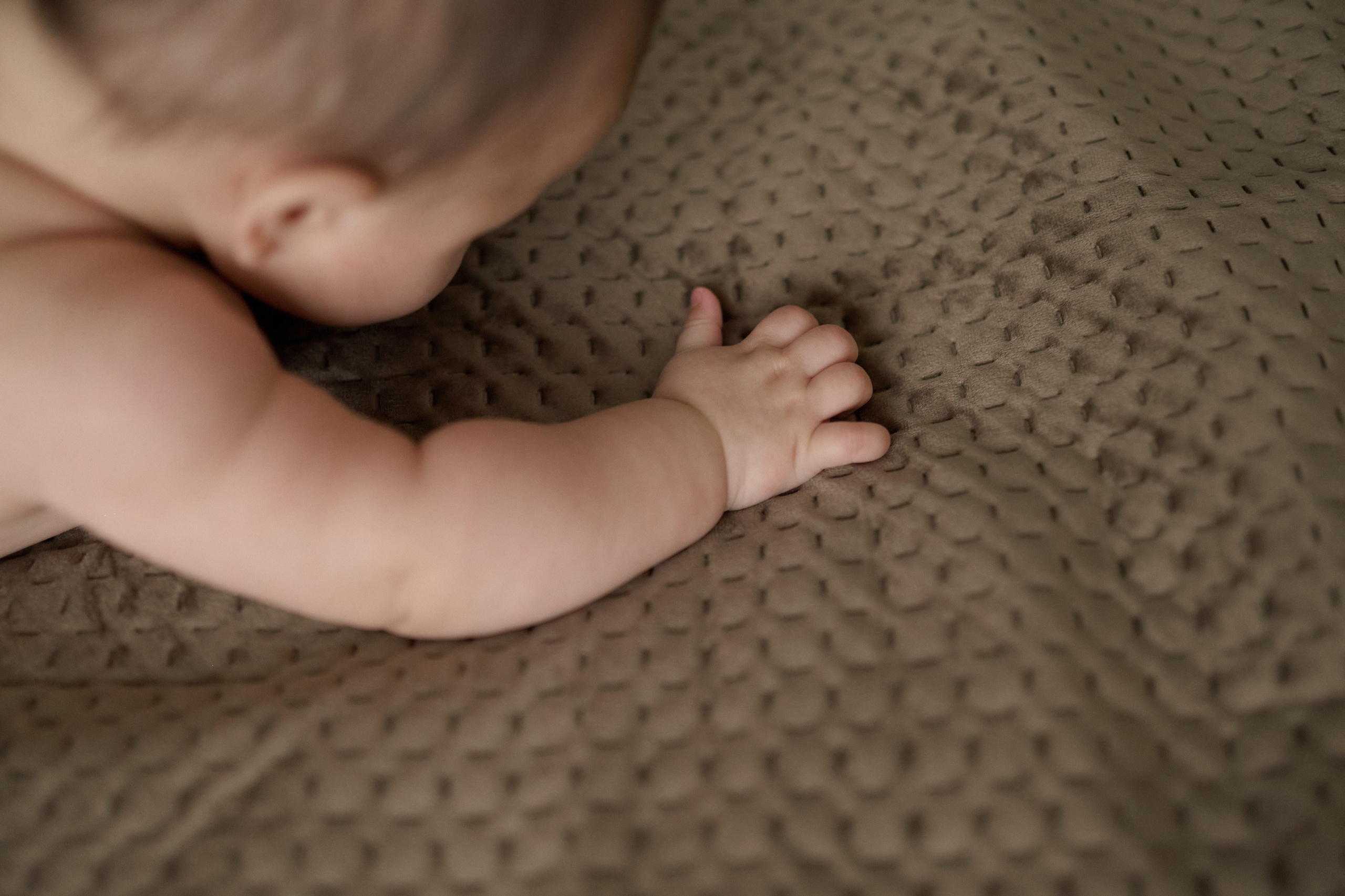 Адаму полгода (домашнее). Семейный и свадебный lifestyle-фотограф в Москве Мария Петрова