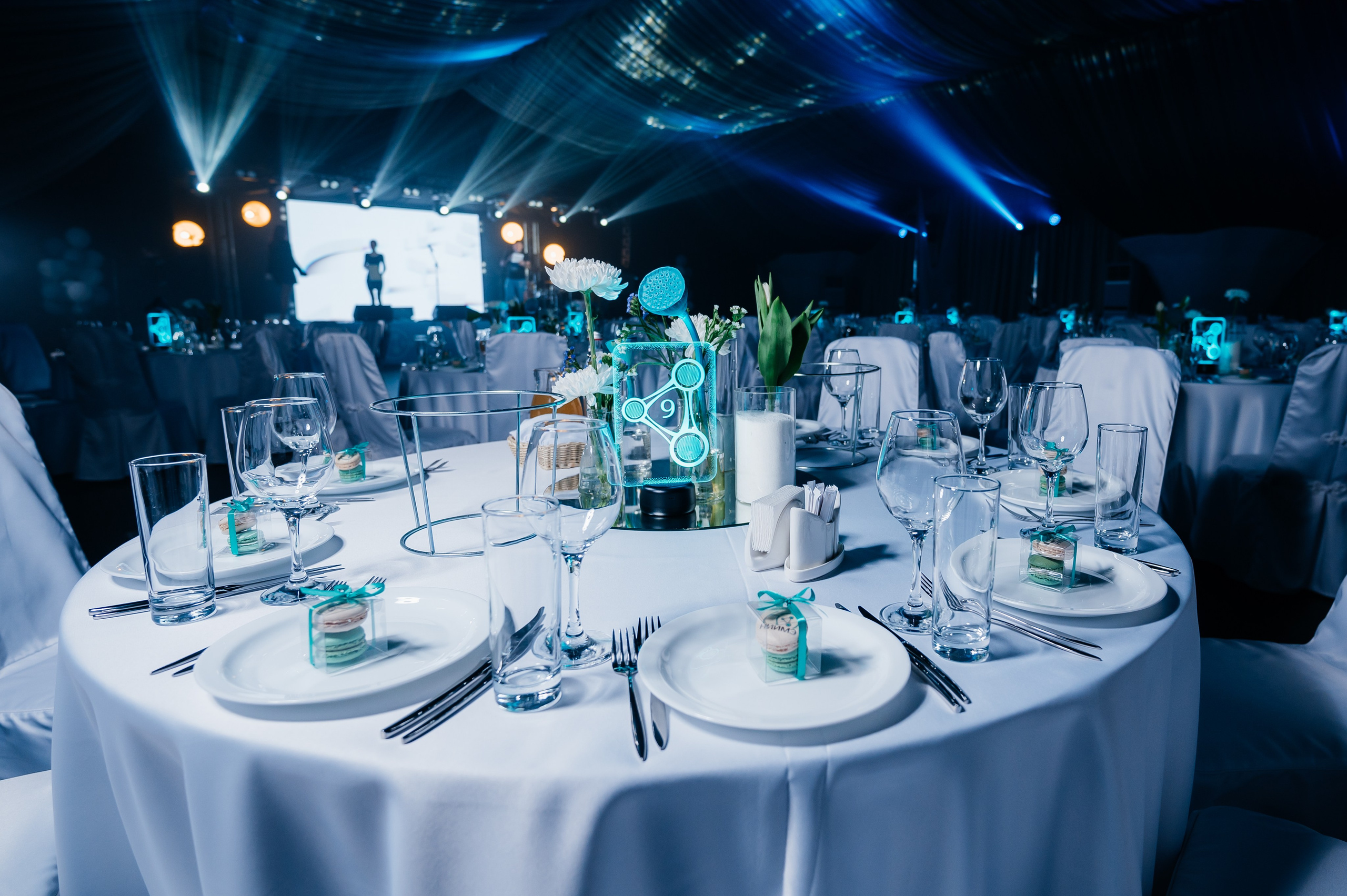 НИИМЭ 60лет. Фотограф Илья Бызов, Свадебный и репортажный фотограф Сочи