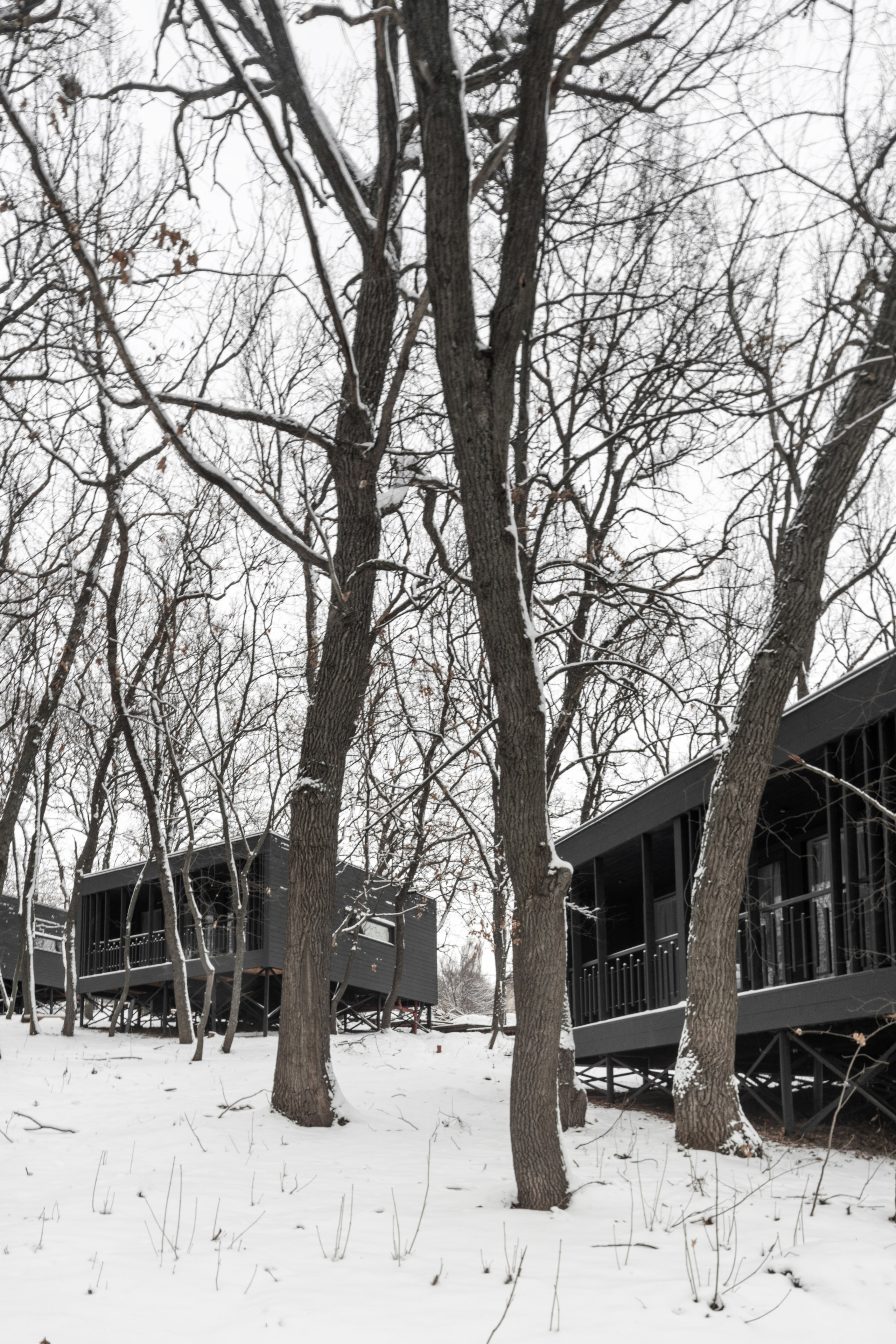 ХОЛМ. SAAS Селиванов Алексей Архитектурная Студия