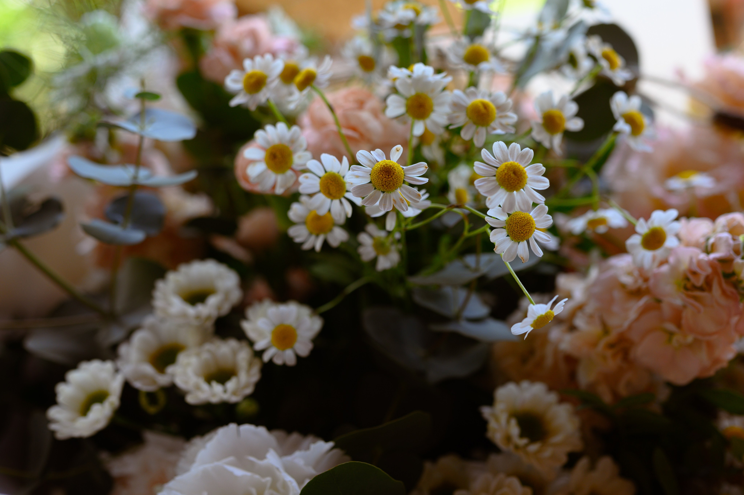 Юбилейный вечер в кругу родных. Семейный, свадебный и репортажный фотограф в Москве Анастасия Светлова