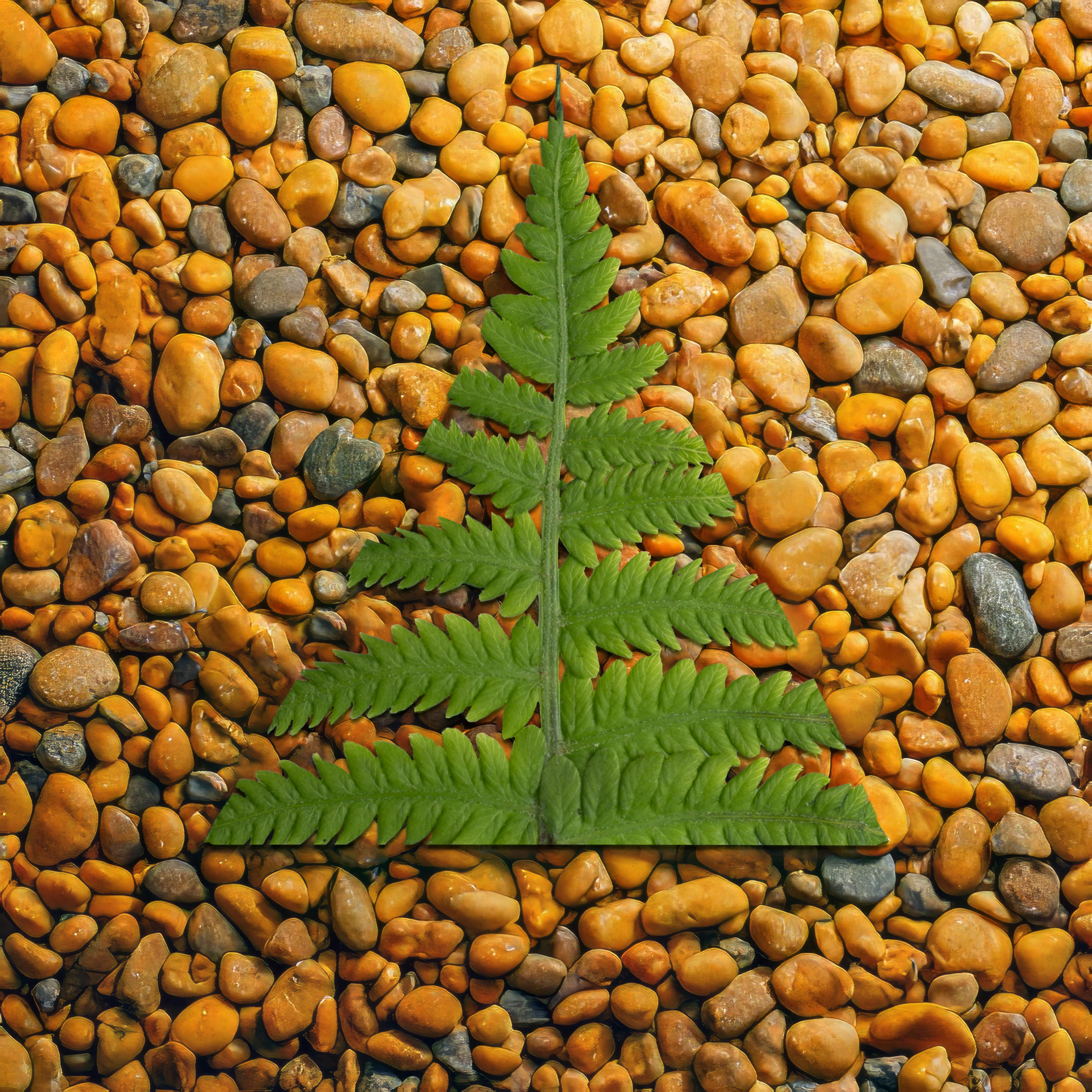 Кубики. Alena Ivochkina — conceptual photographer