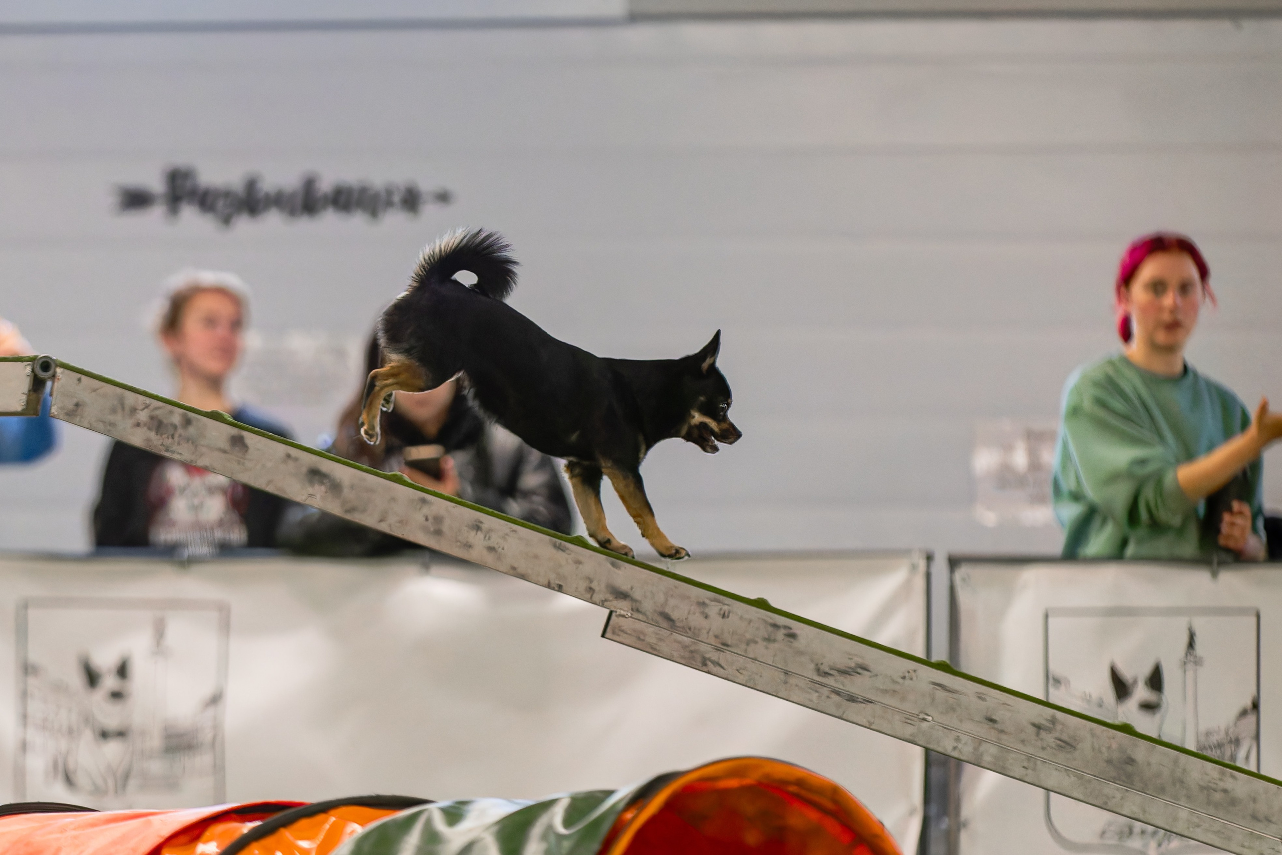 Baltic Cup 2024. Irenephoto.ru