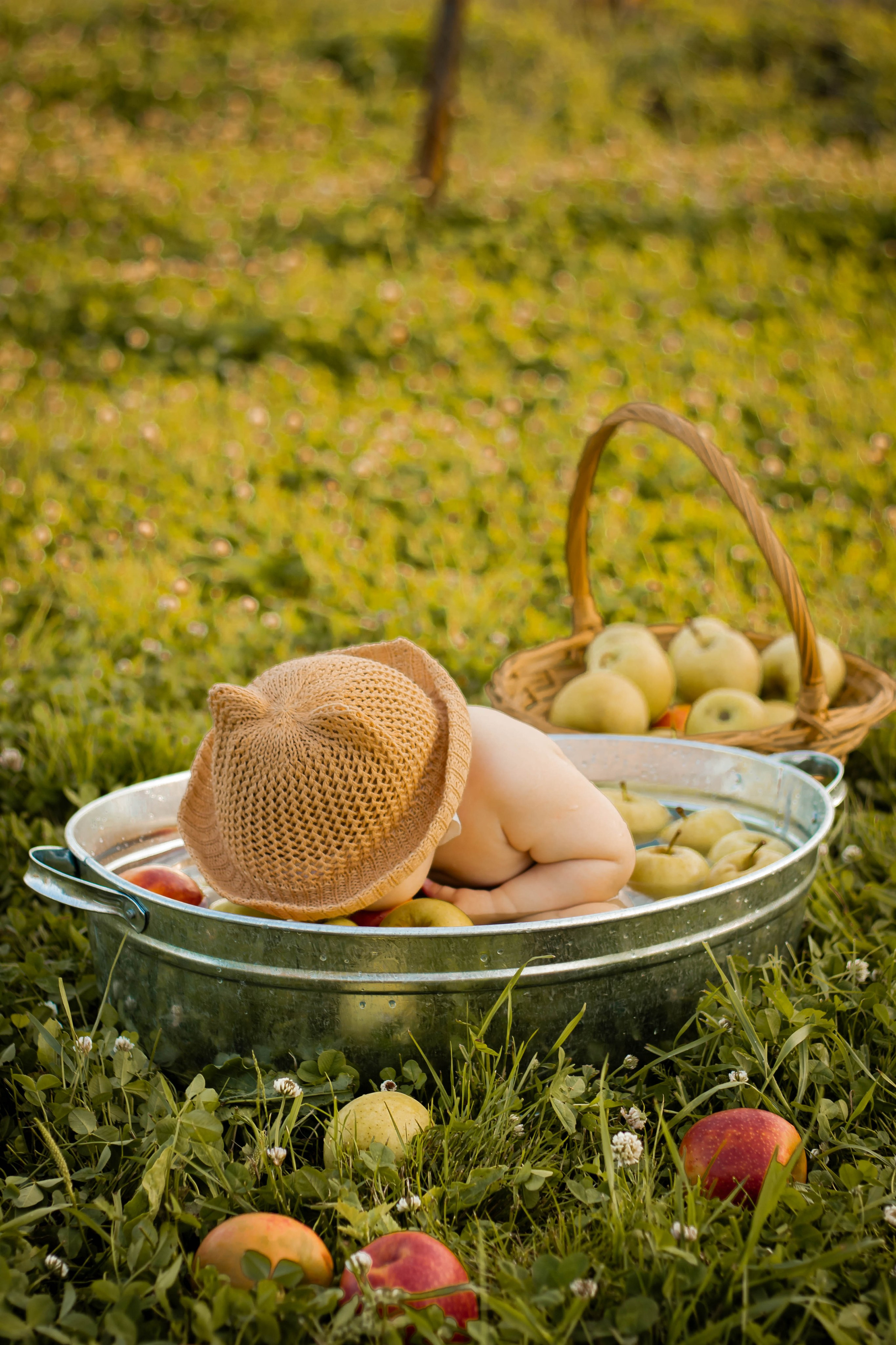 Яблочный рай. Семейный и детский фотограф в Павловском Посаде Сарапкина Наталья