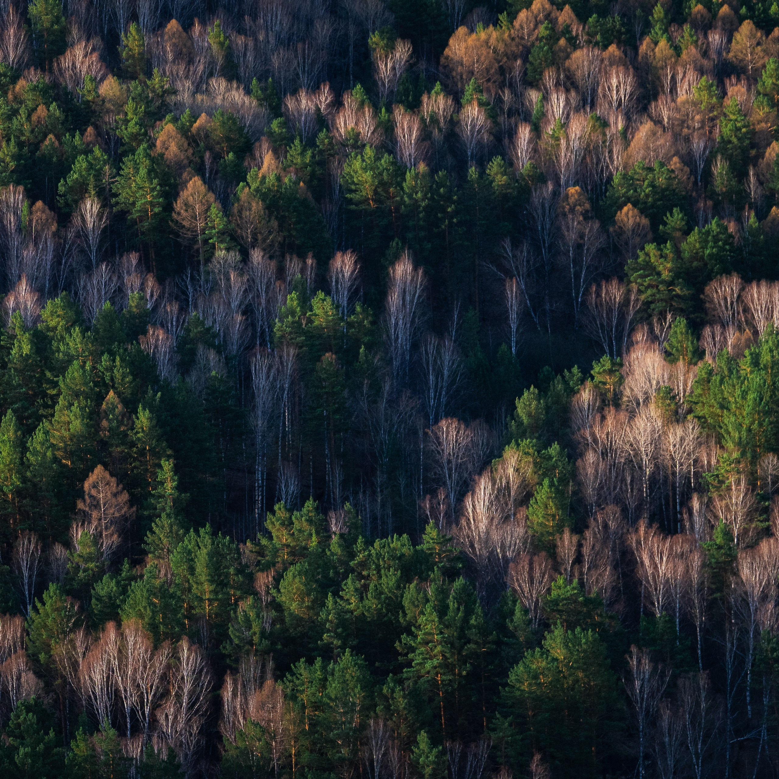Landscape. AndreyRKT Photo