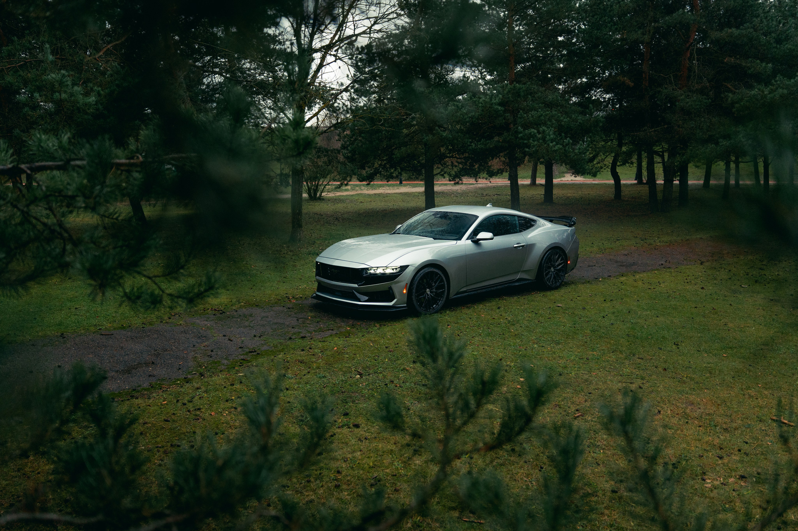 Фотографии Ford Mustang