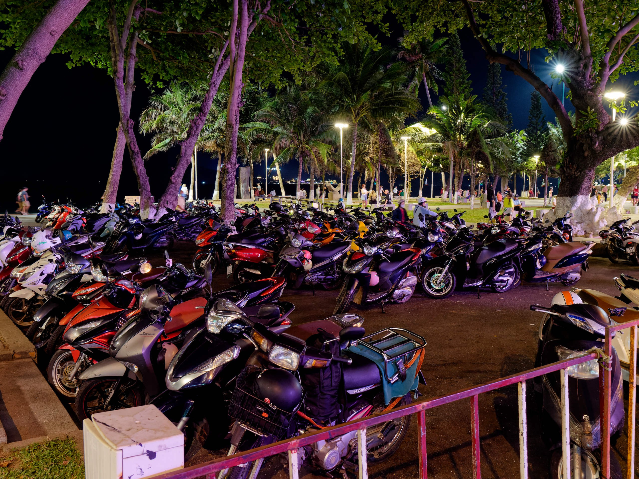 Нячанг 2025 (2). Избранные фотографии