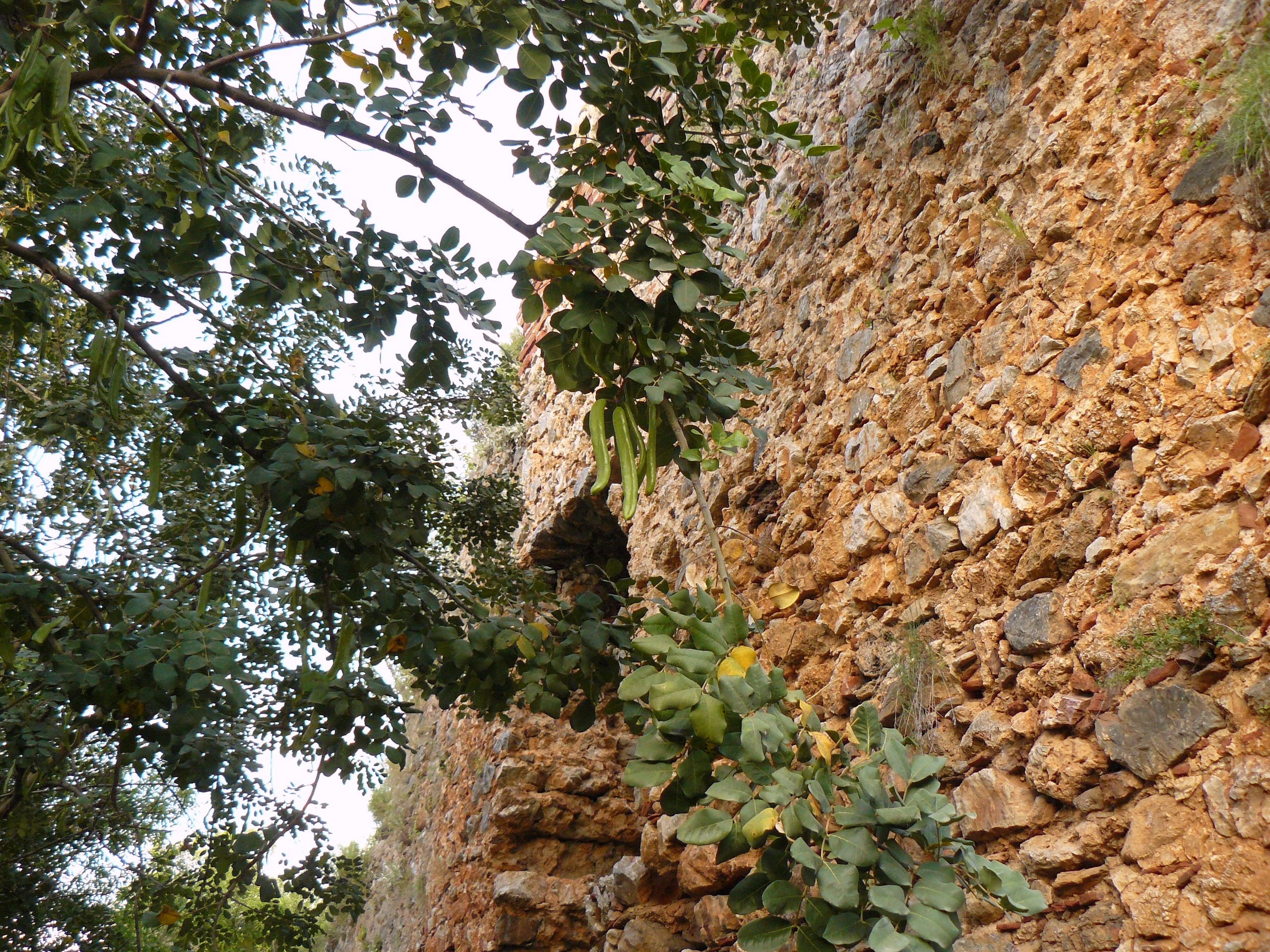 Алания 2014 старая крепость. Фотопрогулки по Миру