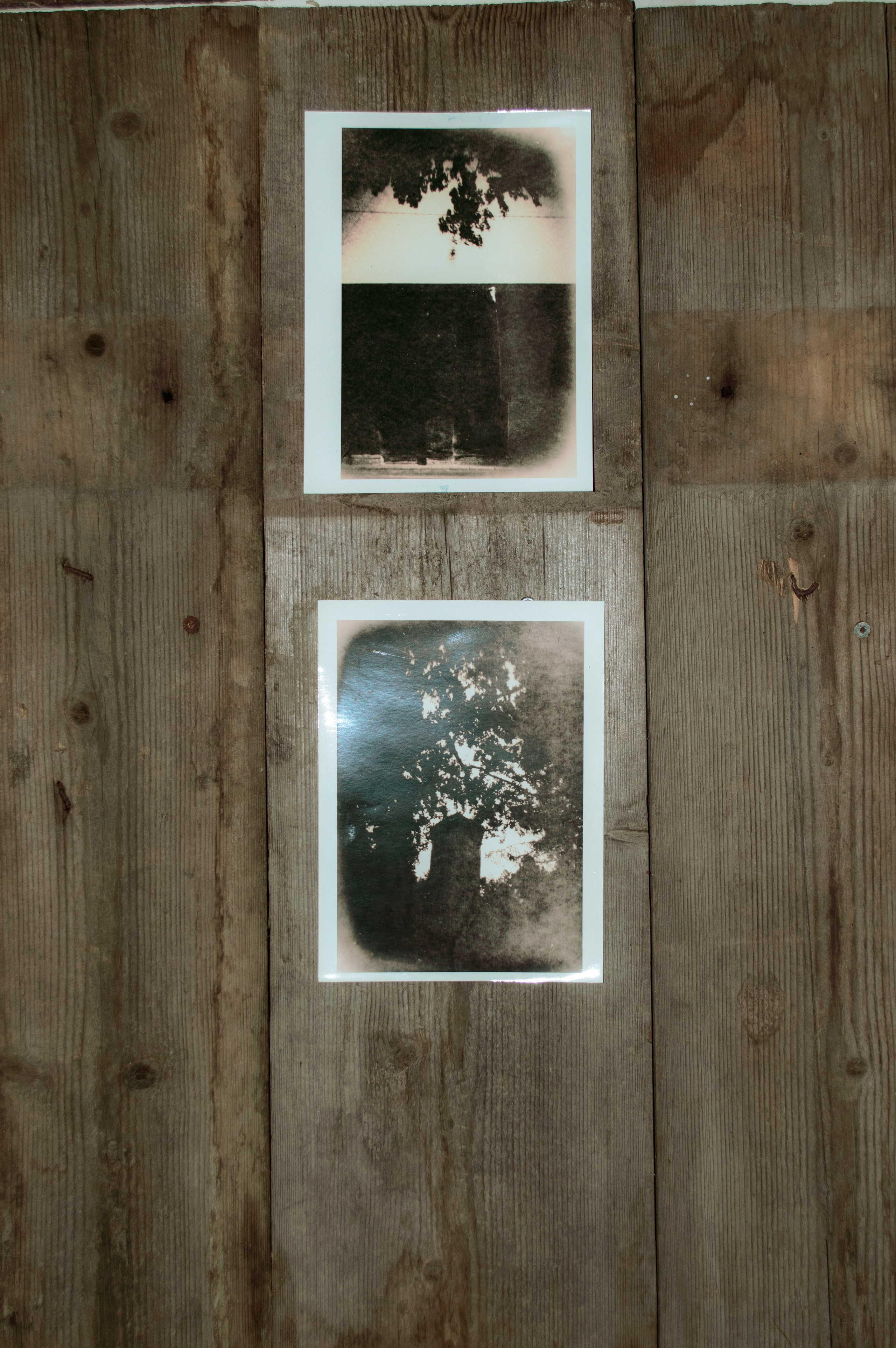 Фото-альтернатива. Данил Андреев, мультидисциплинарный художник, Санкт-Петербург