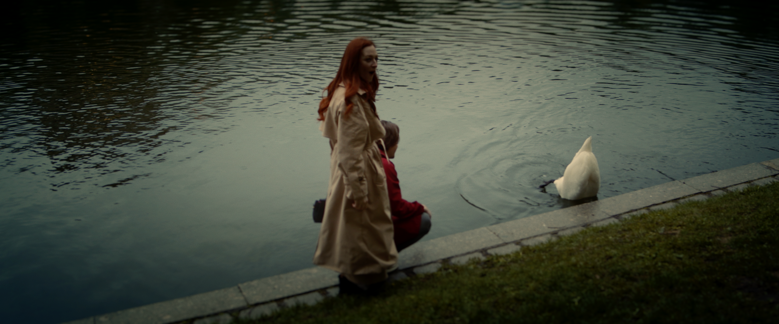 The Riddle. Tokcolor