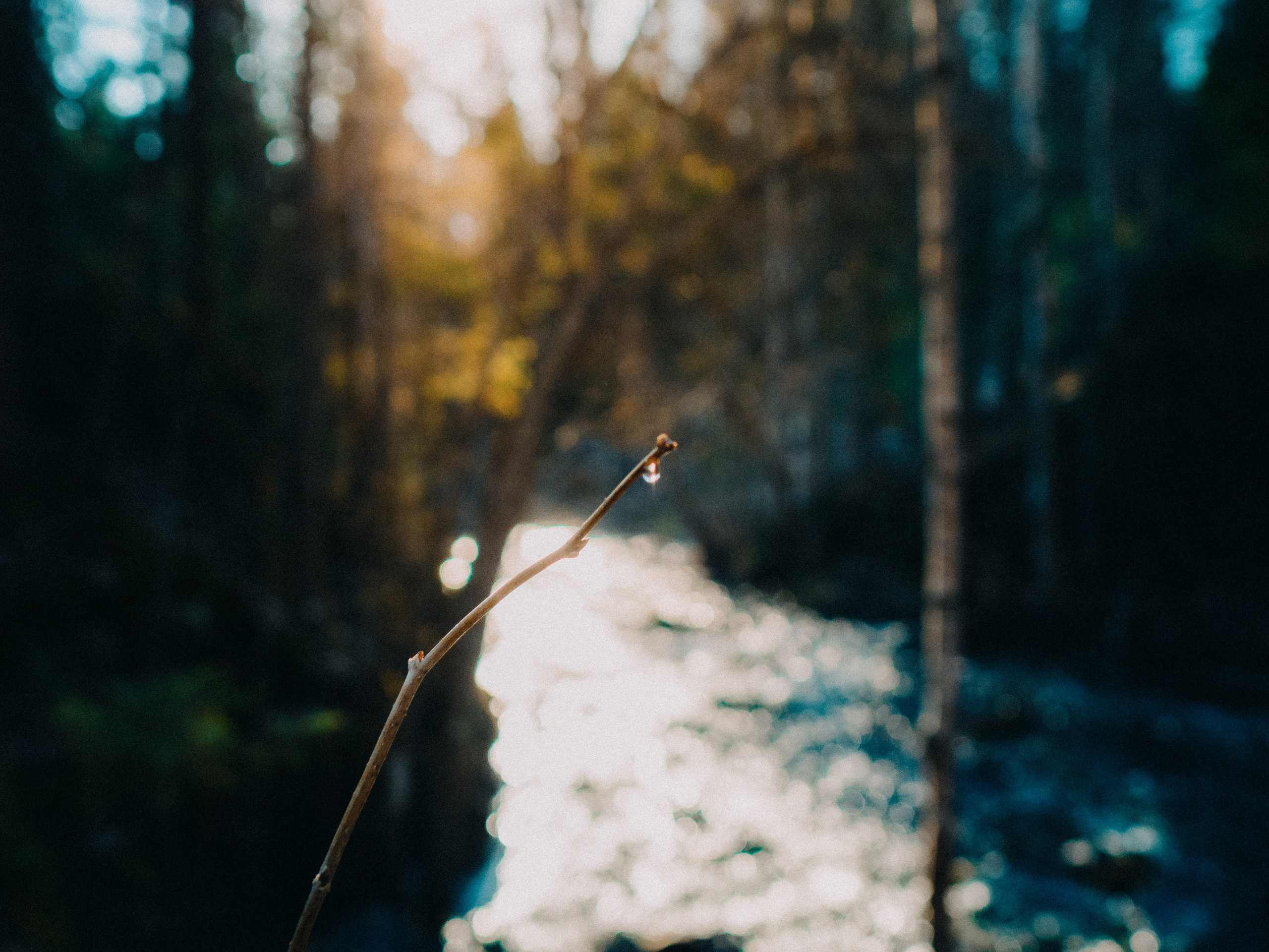 Карелия '23. Фёдор Малюгин. Ваш бади в визуале
