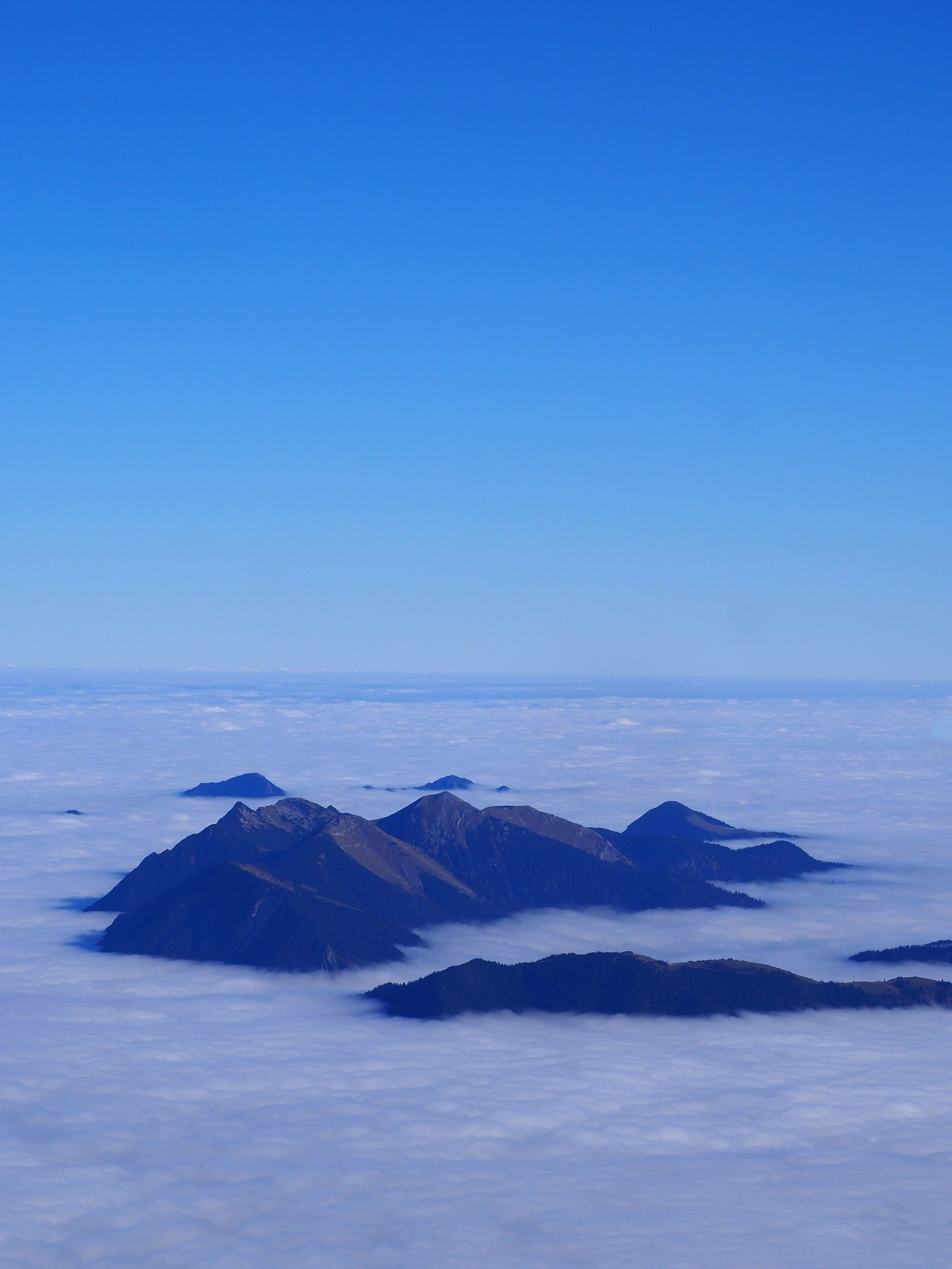 Природа. Семейный фотограф в Красноярске Лизоркина Вера