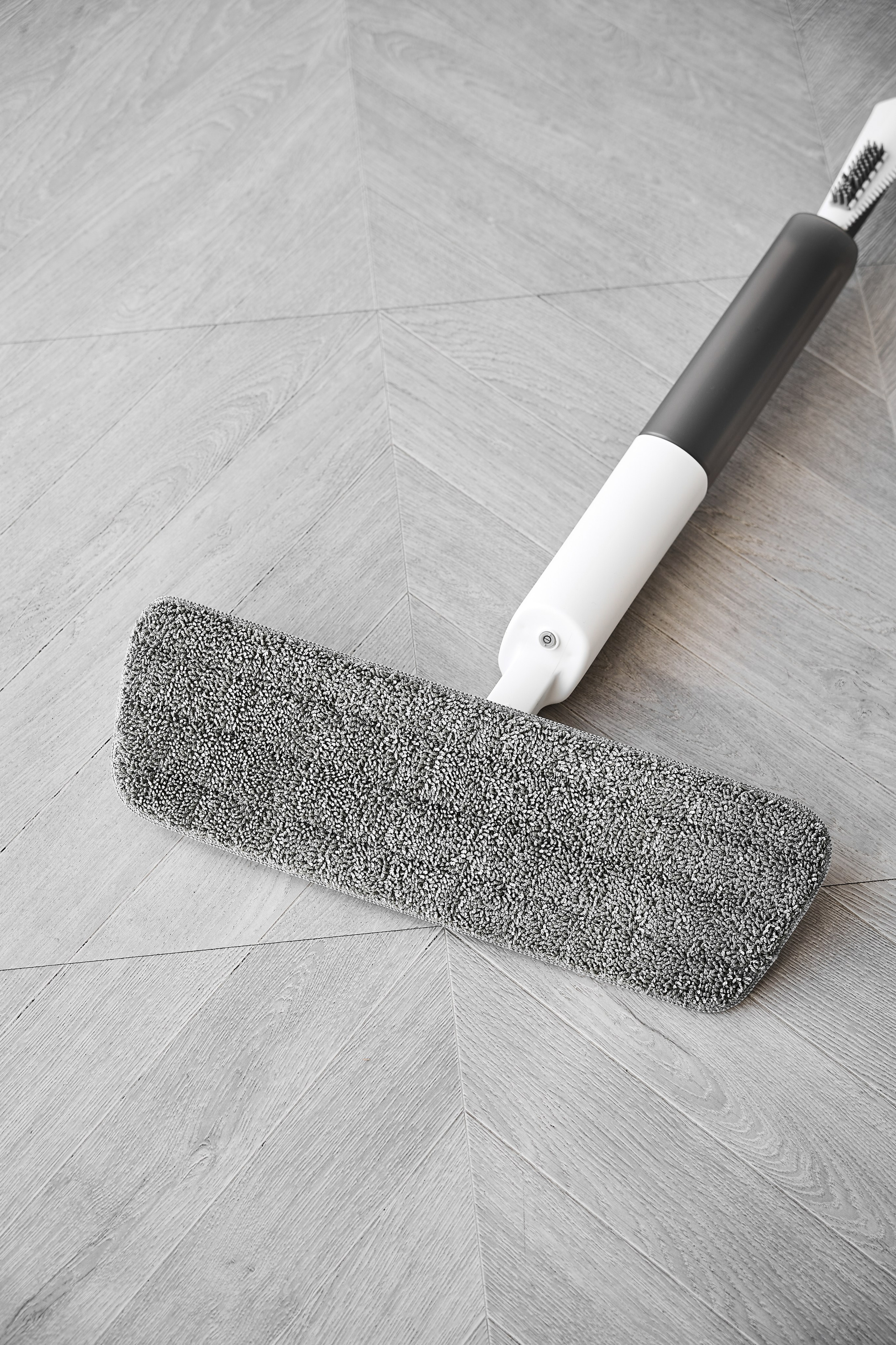 White cat. Фотограф в Москве Казакова Анна