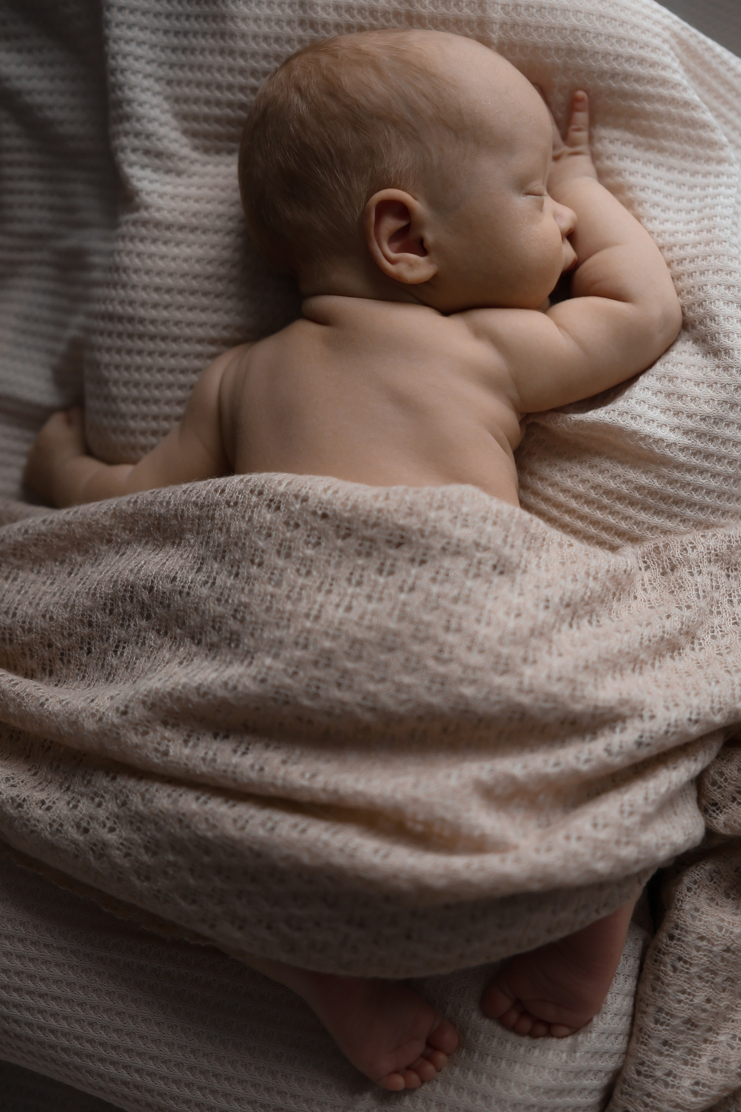 Федор. Фотограф новорожденных в Москве и Московской области Наталья Збиглей