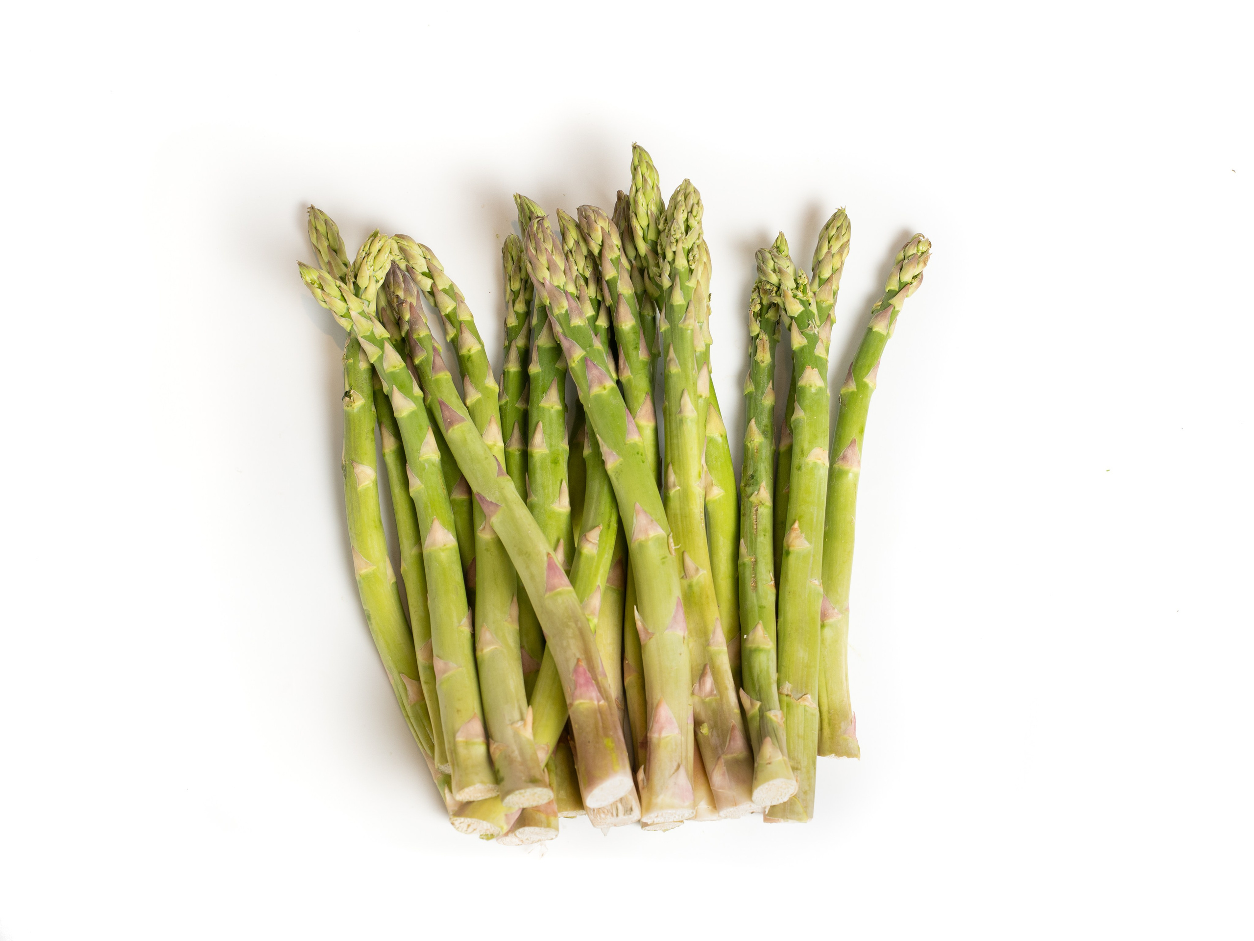 Яндекс Маркет. Предметный и фуд-фотограф в Москве Анна Царенко