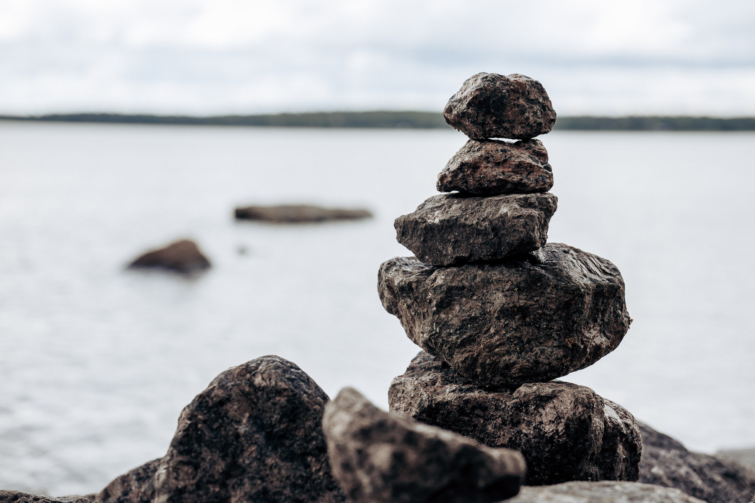 Фотосессия в лесу. Профессиональный фотограф в Санкт-Петербурге Александр Волосенцев