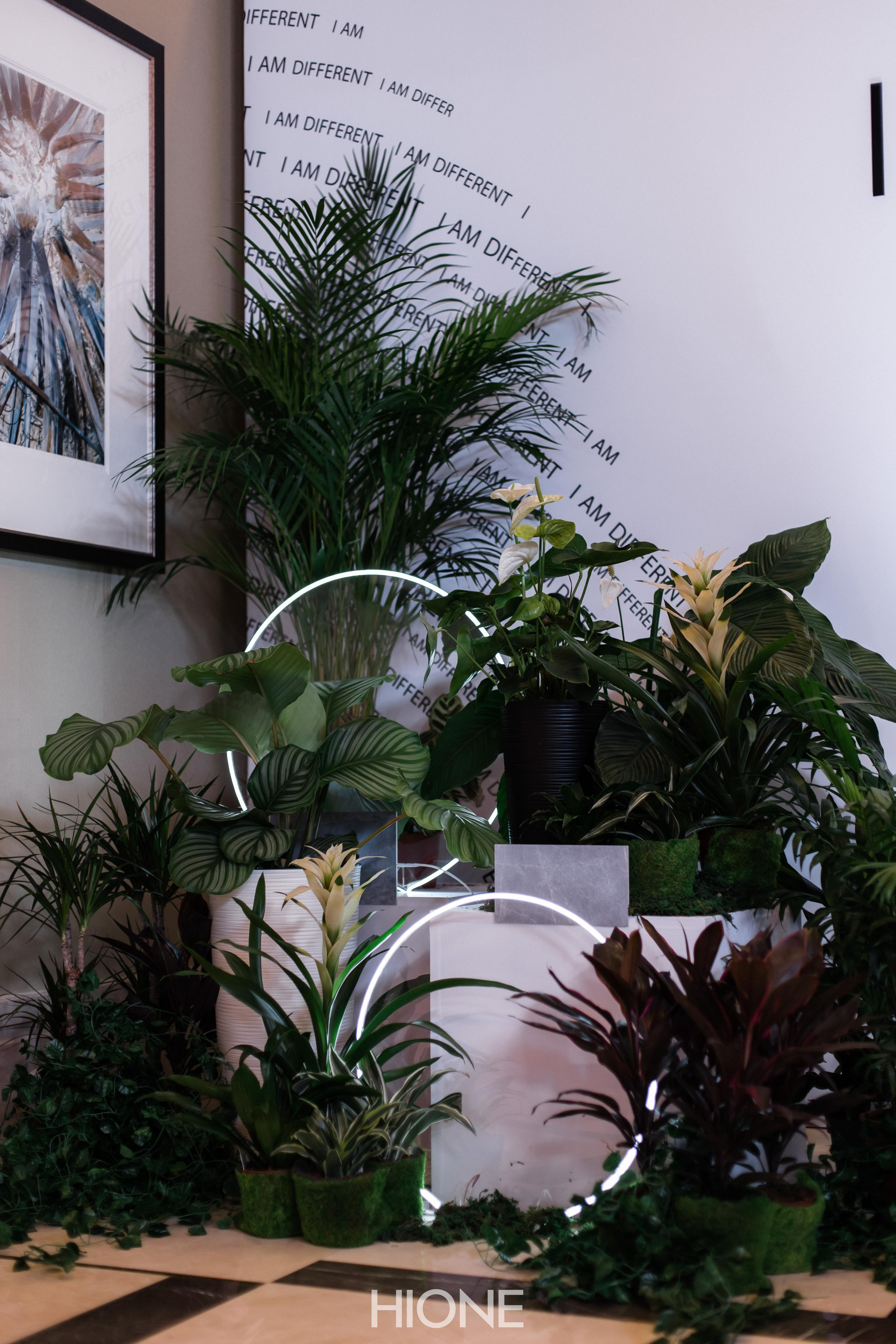 I am Different(Показ мод). Профессиональный фотограф в городе Астана/Алматы Даурен Сембаев