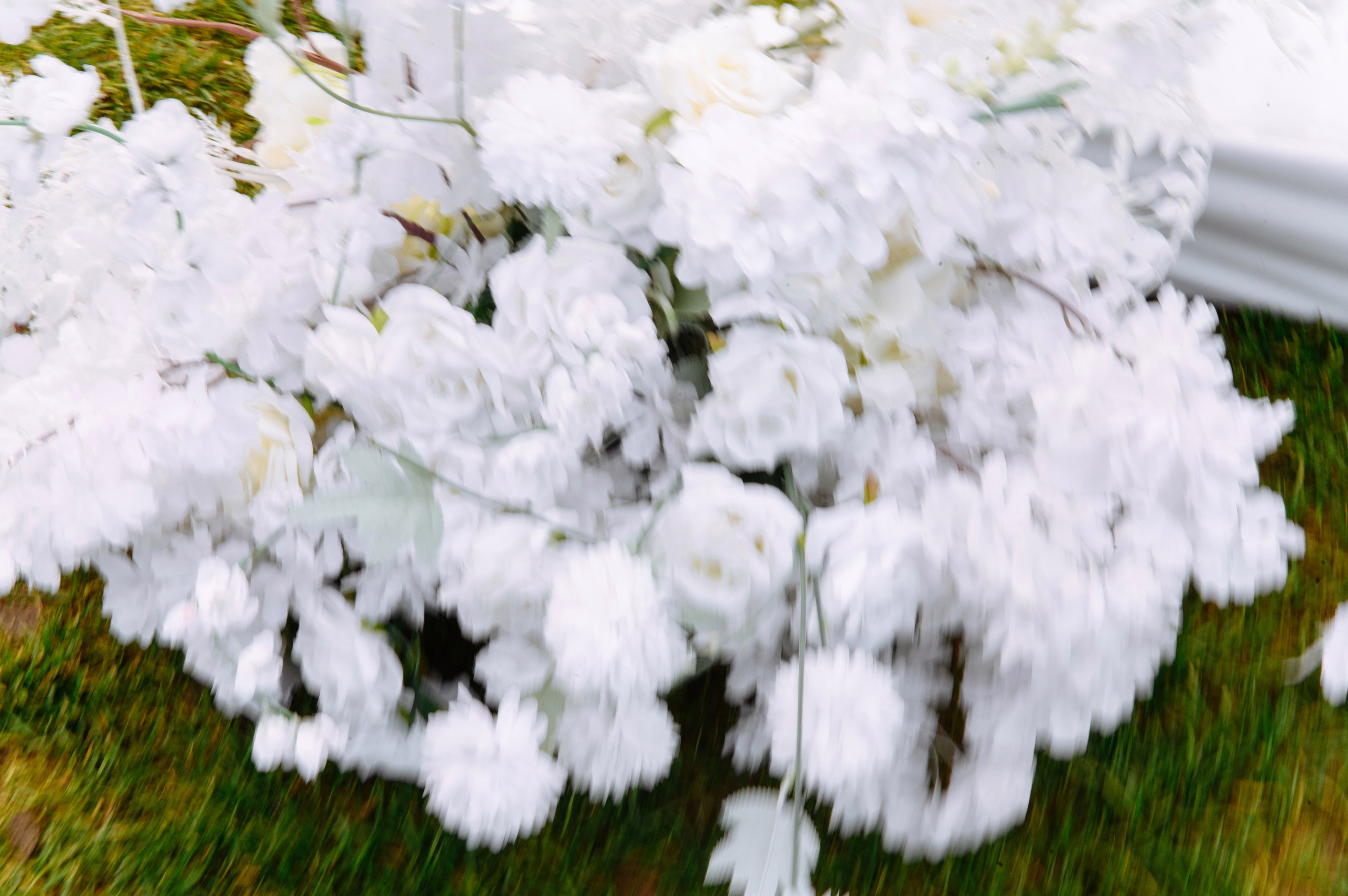 Евгений и Екатерина LA VILLA. Фотограф Кирилл Верт