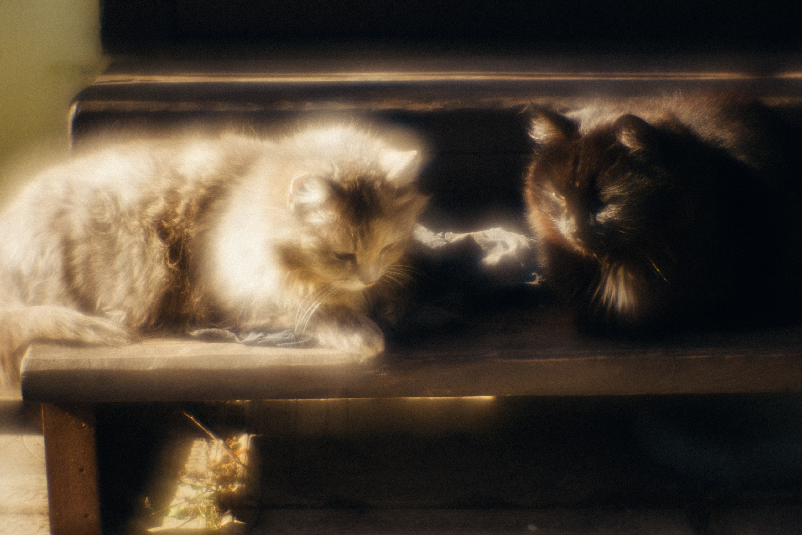 Пикториальный альбом. Семейный LIFESTYLE фотограф в Москве