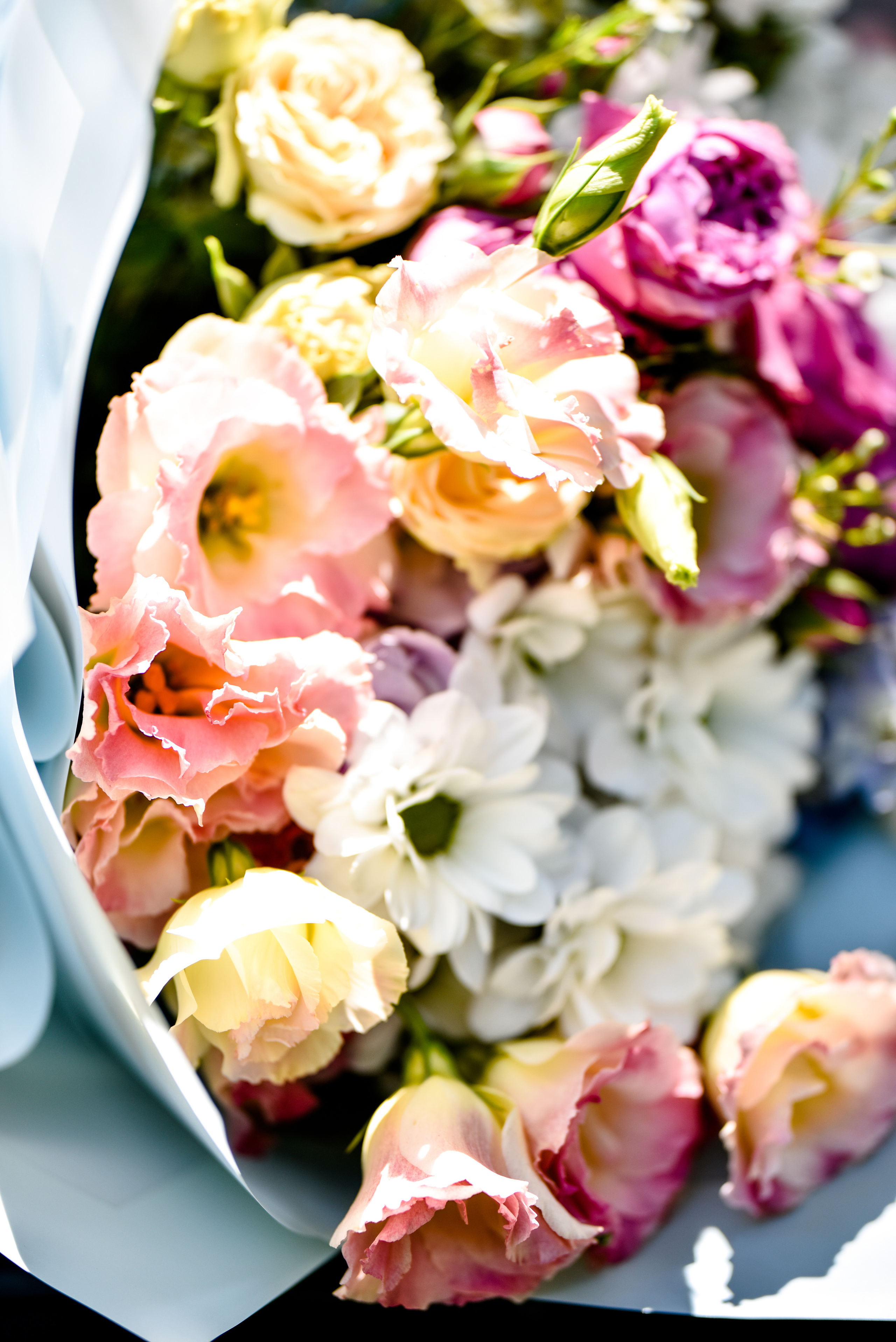 Даша, Саша, Егорка