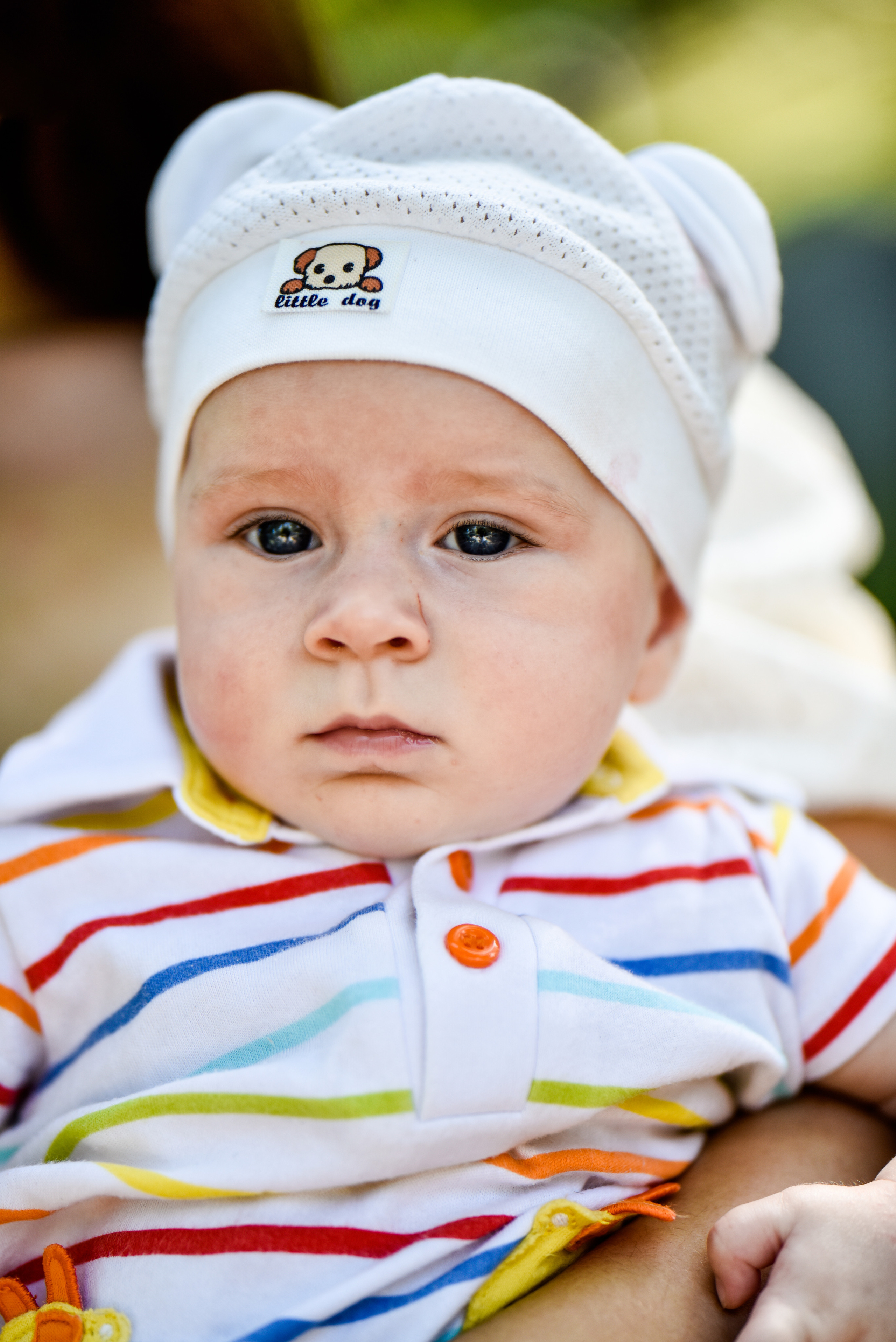 Даша, Саша, Егорка