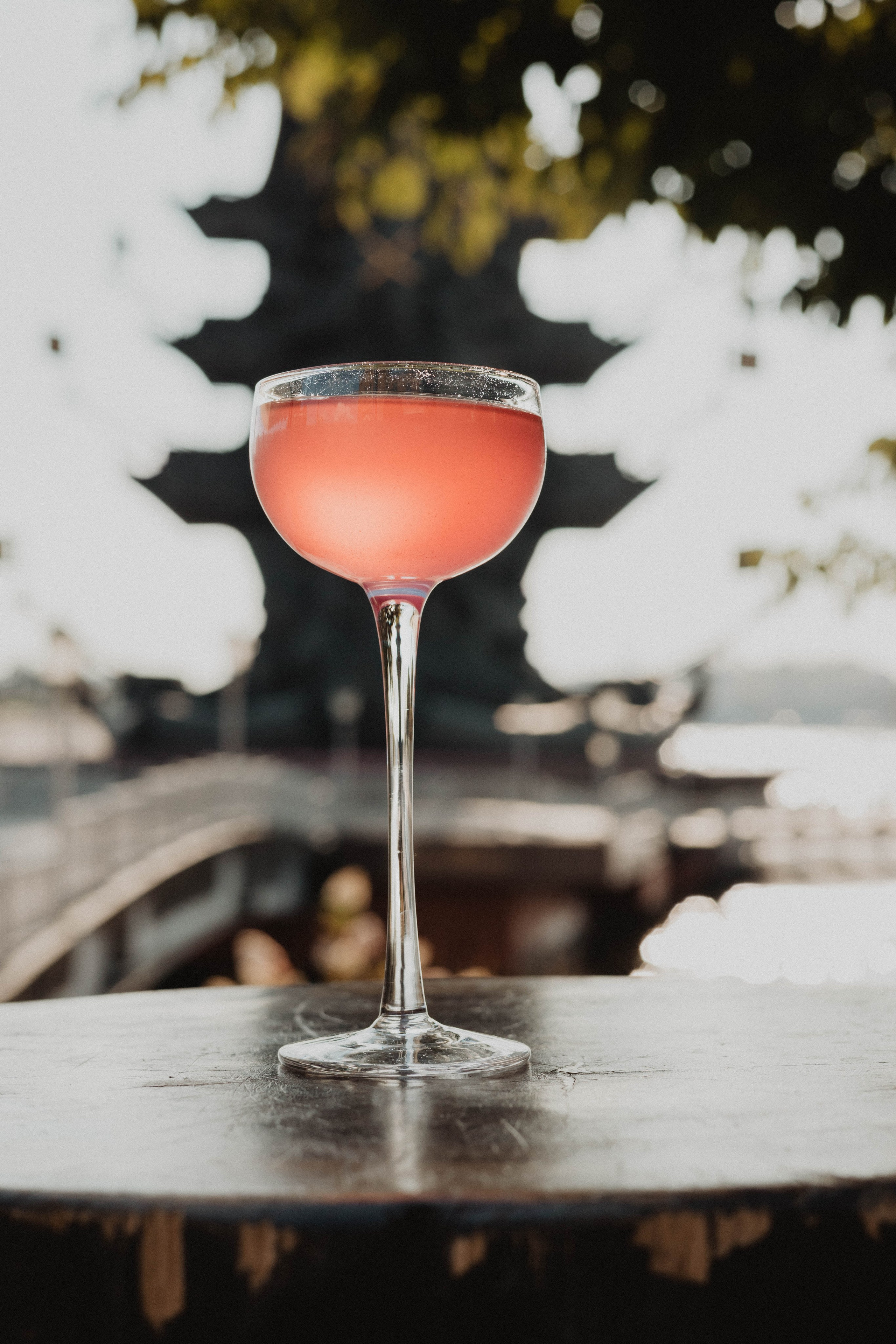 Репортажная съемка выездного бара на мероприятии | Николай Завалишин. NICKZAVALISHIN — Визуал который продаёт