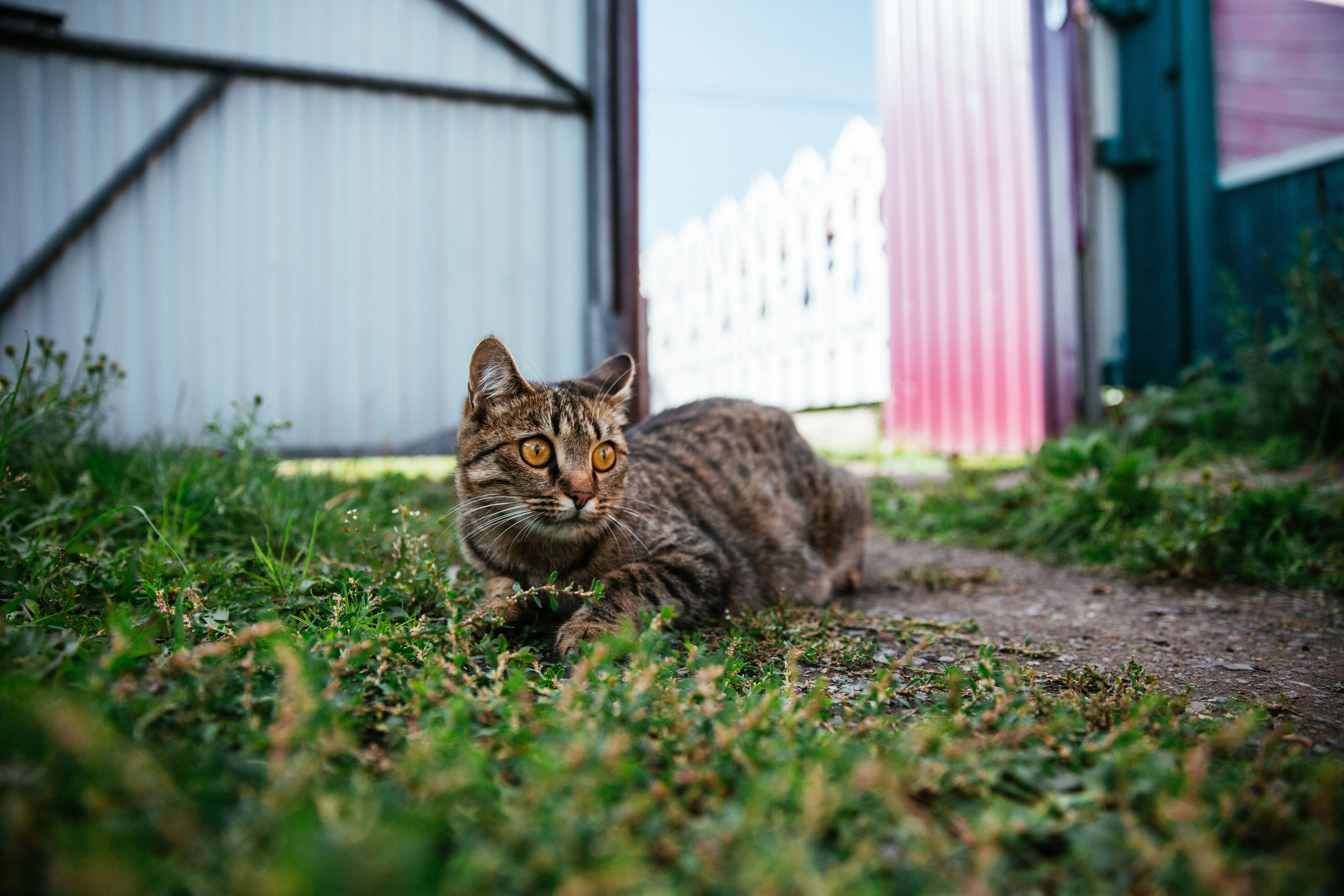 Юра и Настя. Фотограф в Красноярске