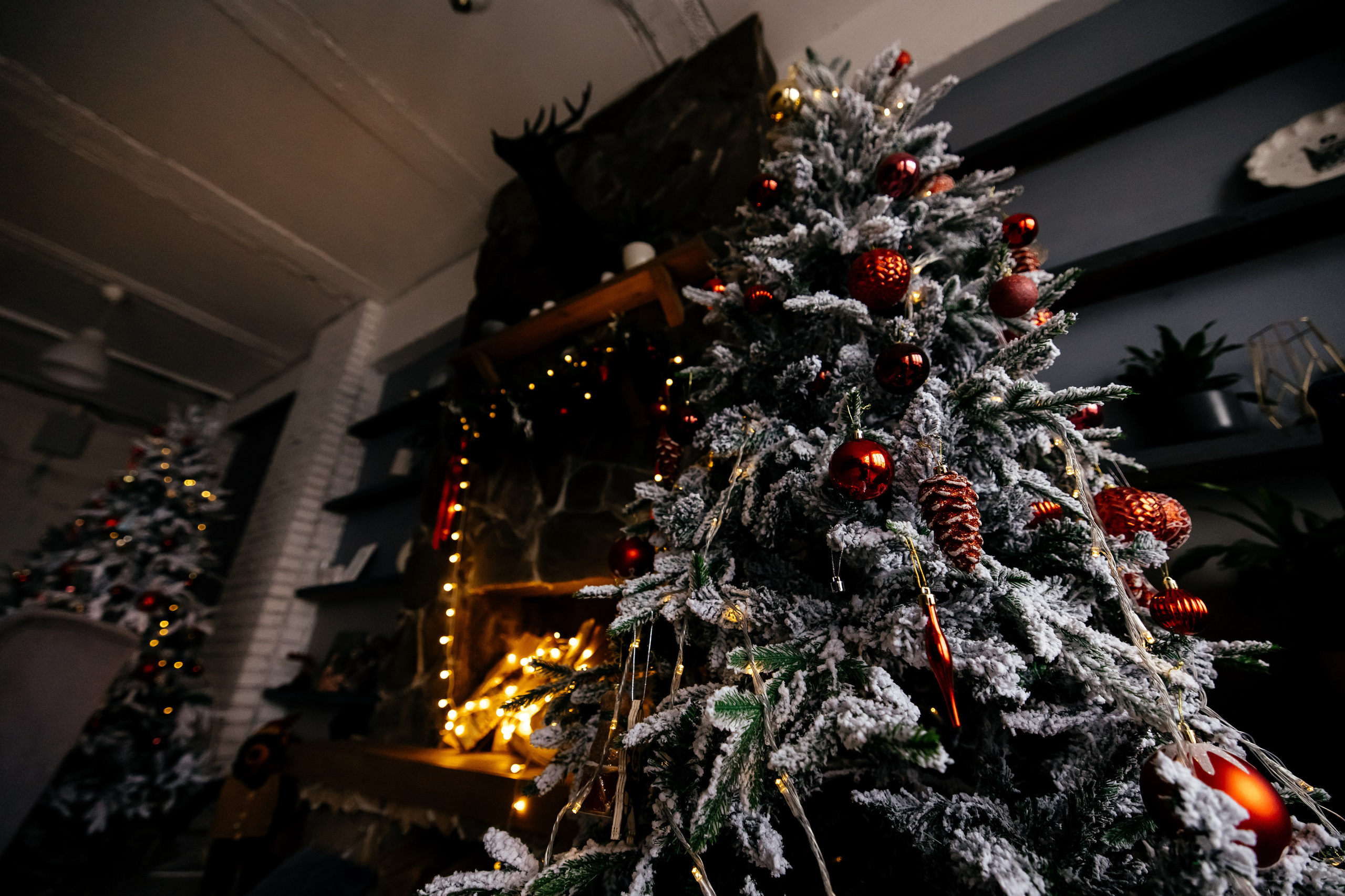 Мадина. Фотограф в Красноярске