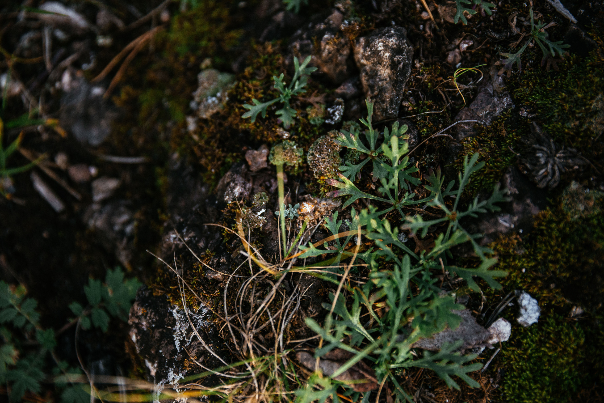 Слава и Кристина. Фотограф в Красноярске