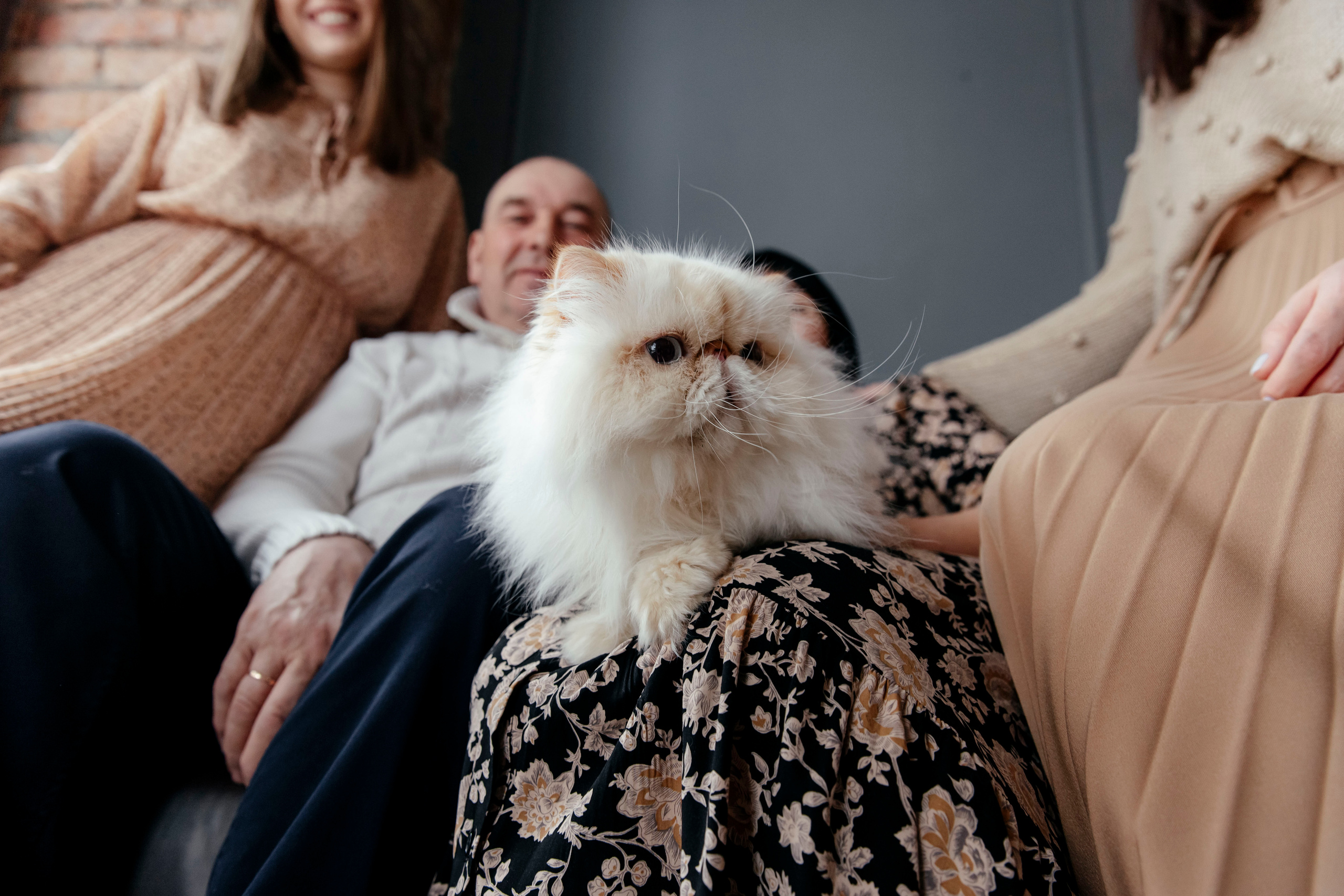 Четверо в семье, не считая кота. Фотограф в Красноярске