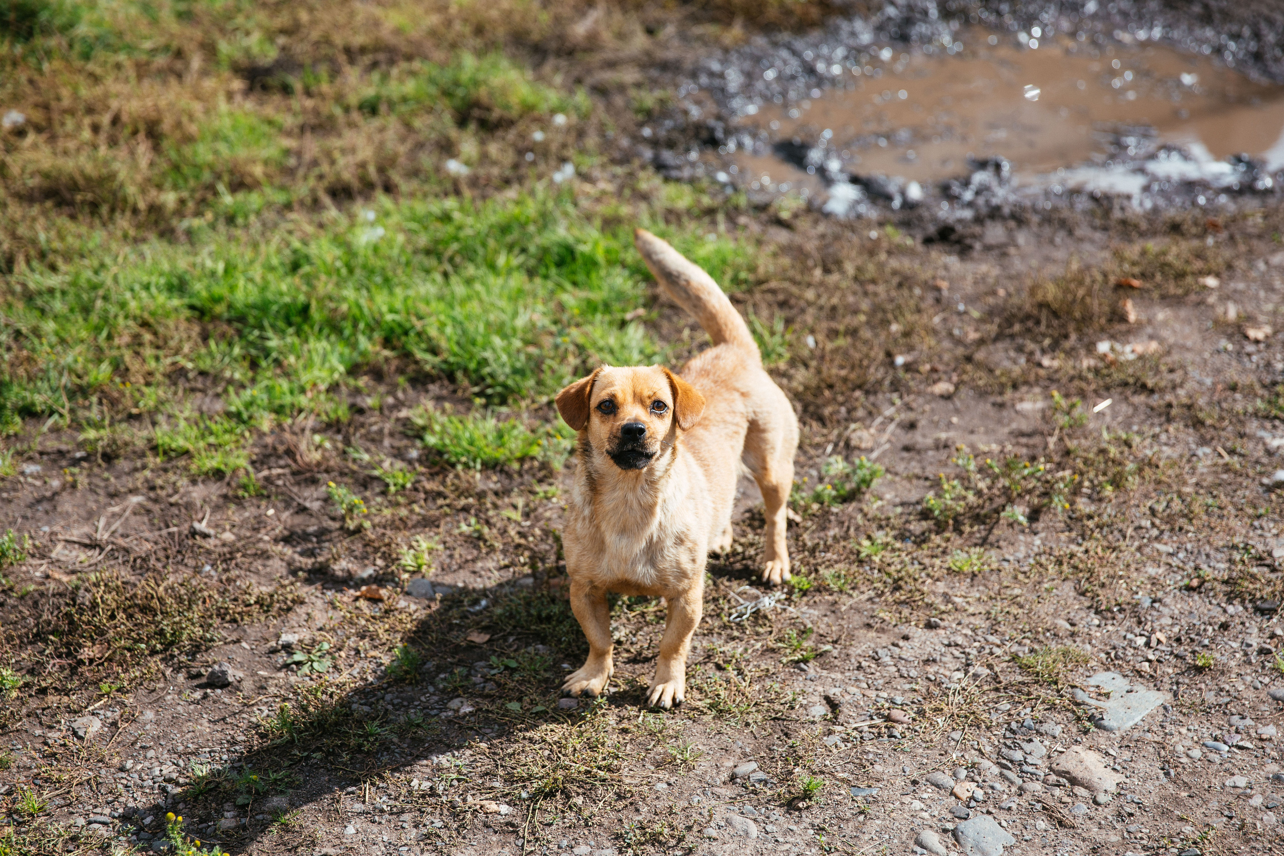 Юра и Настя. Фотограф в Красноярске