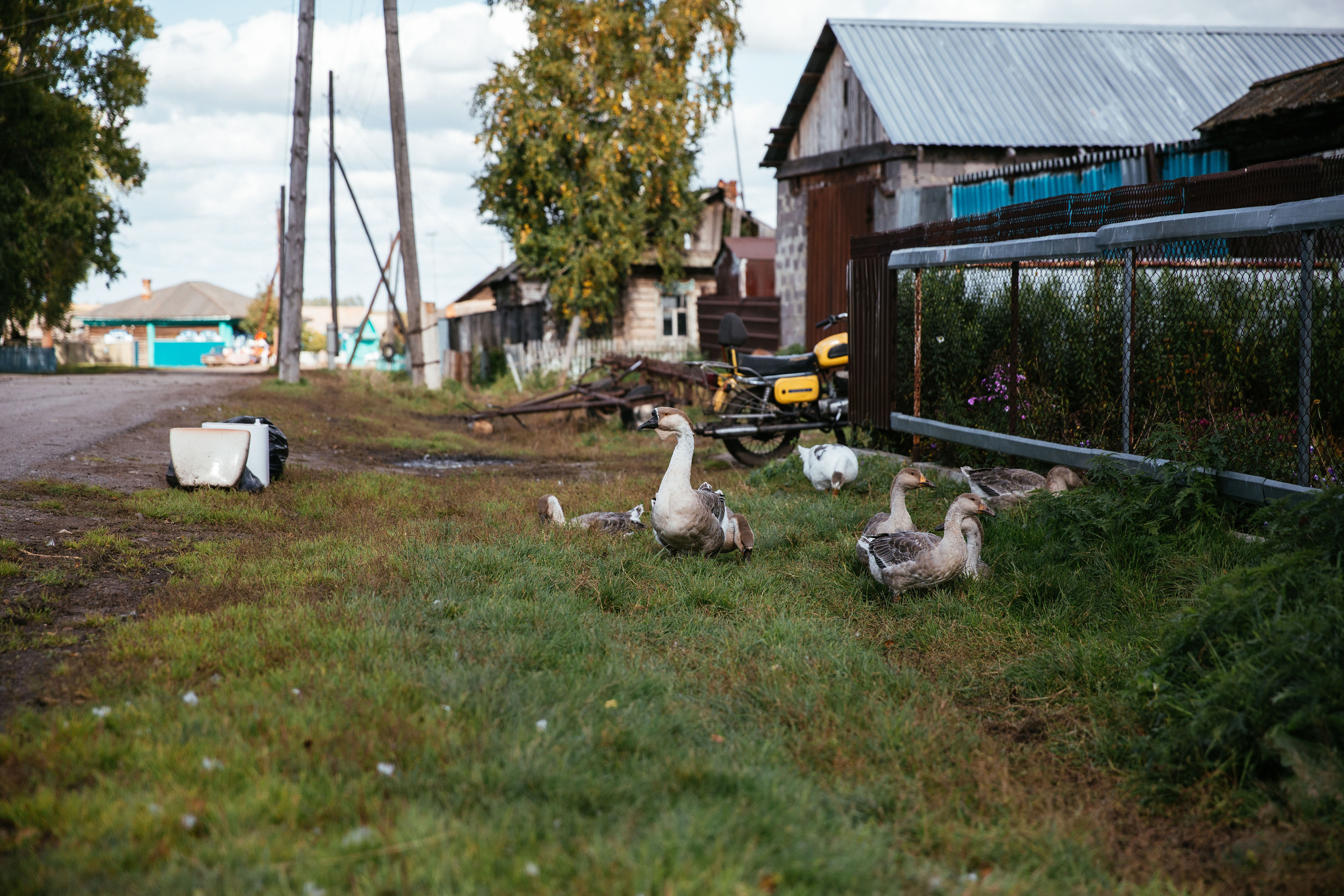 Юра и Настя. Фотограф в Красноярске
