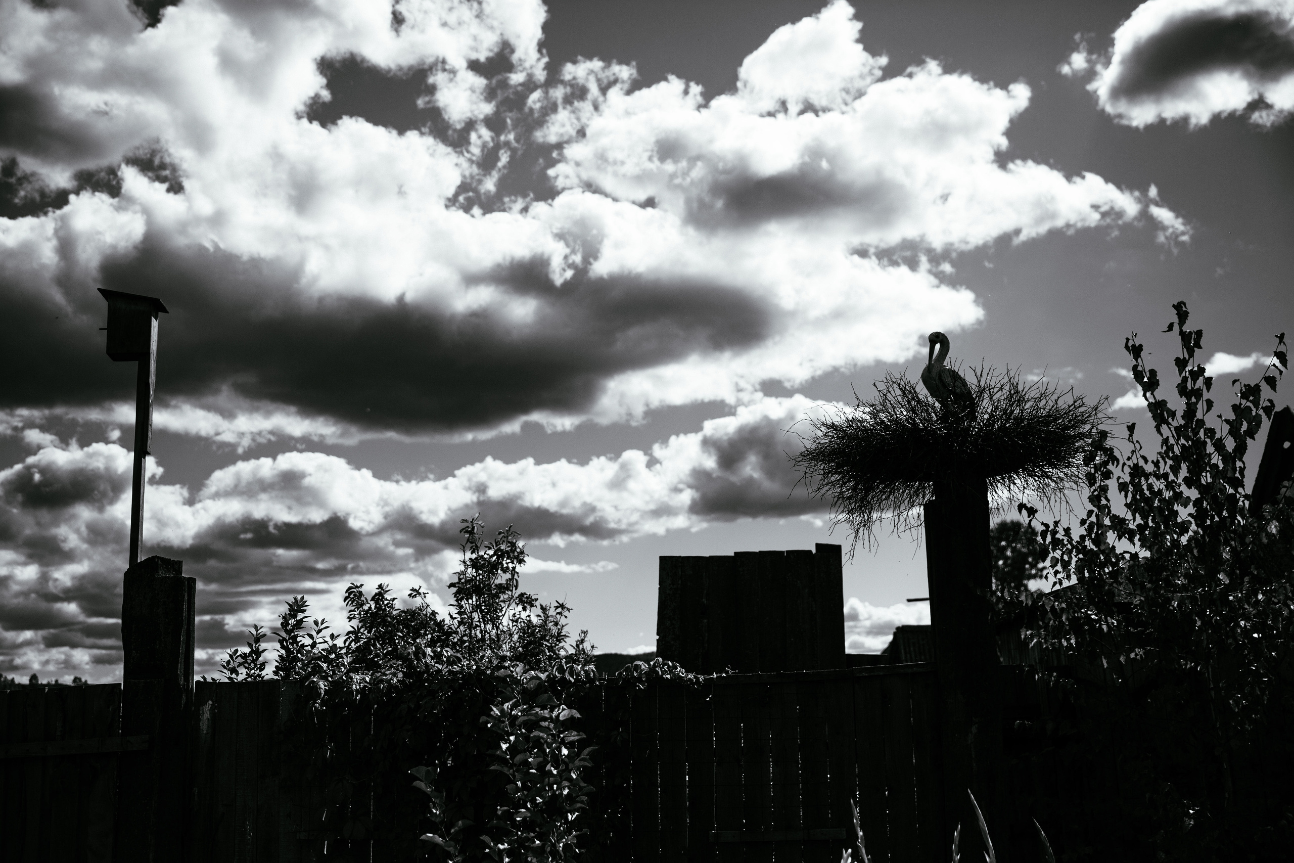 Юра и Настя. Фотограф в Красноярске