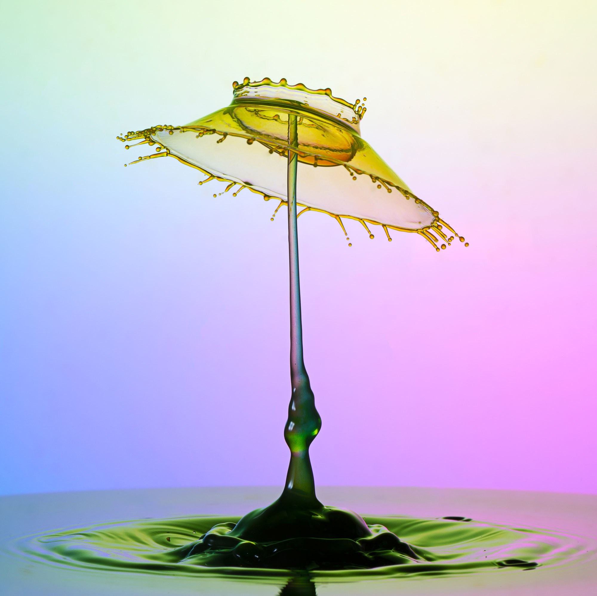 Классические формы. Скульптуры из воды Сергея Толмачева