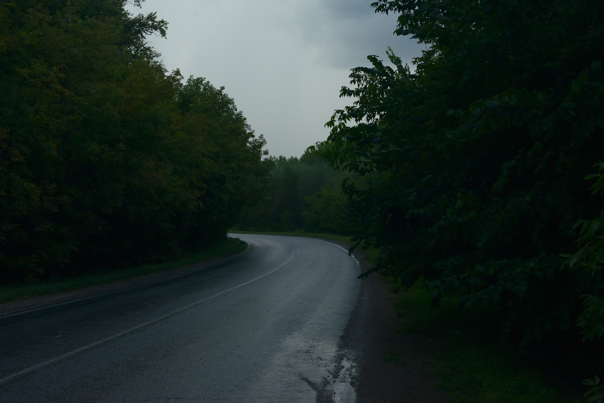 Фотограф Константин Ясинский