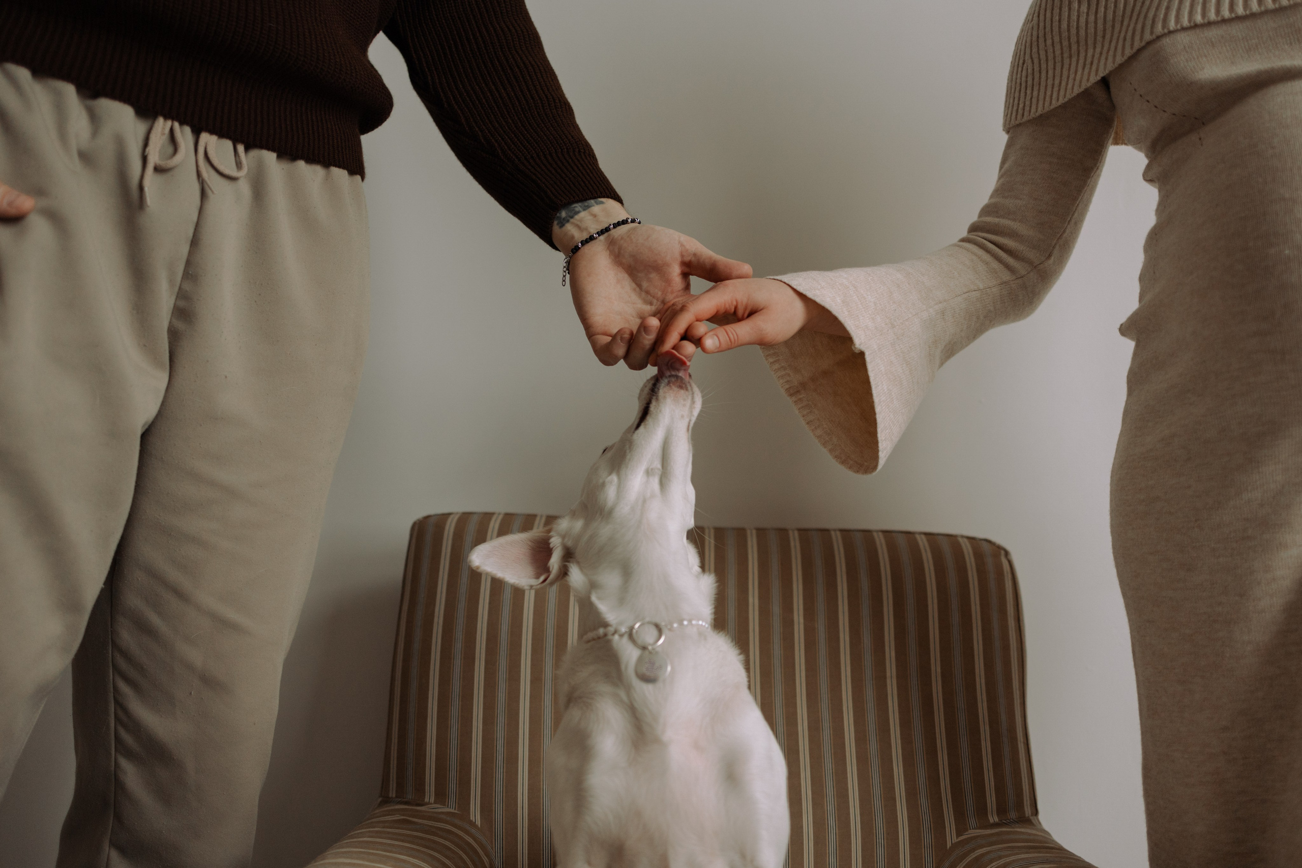 Луна и ее семья. Фотограф — Анималист | Санкт-Петербург