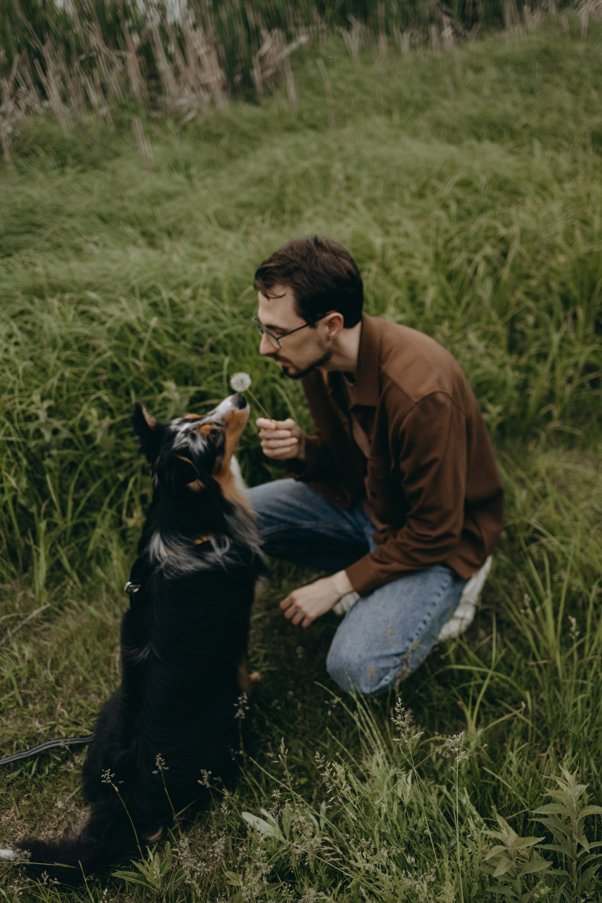 Настя, Никита и их Гром и Мяу. Фотограф — Анималист | Санкт-Петербург