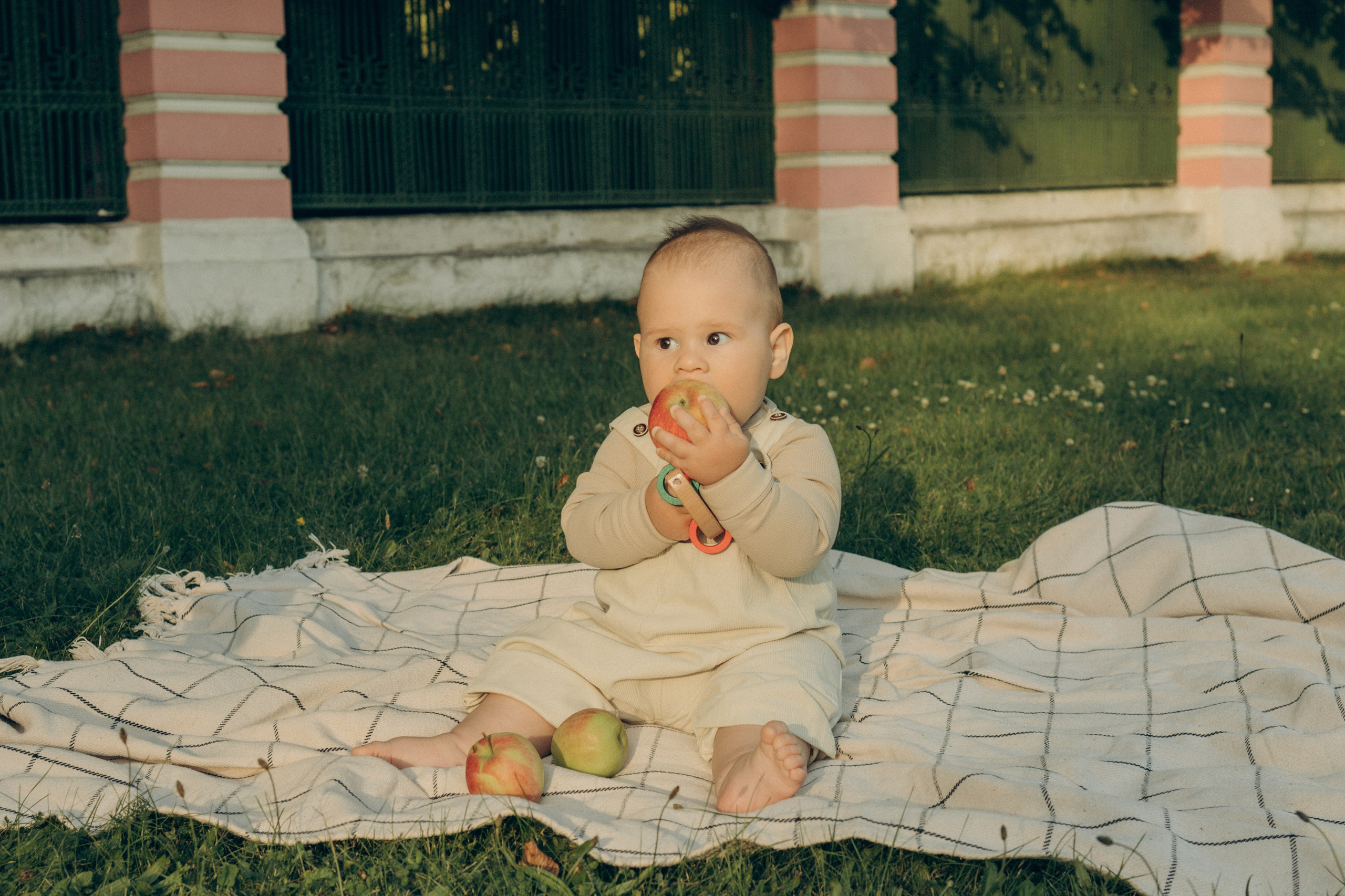 Сережа, Маша и Федя. Семейный фотограф в Москве Анастасия Шалда