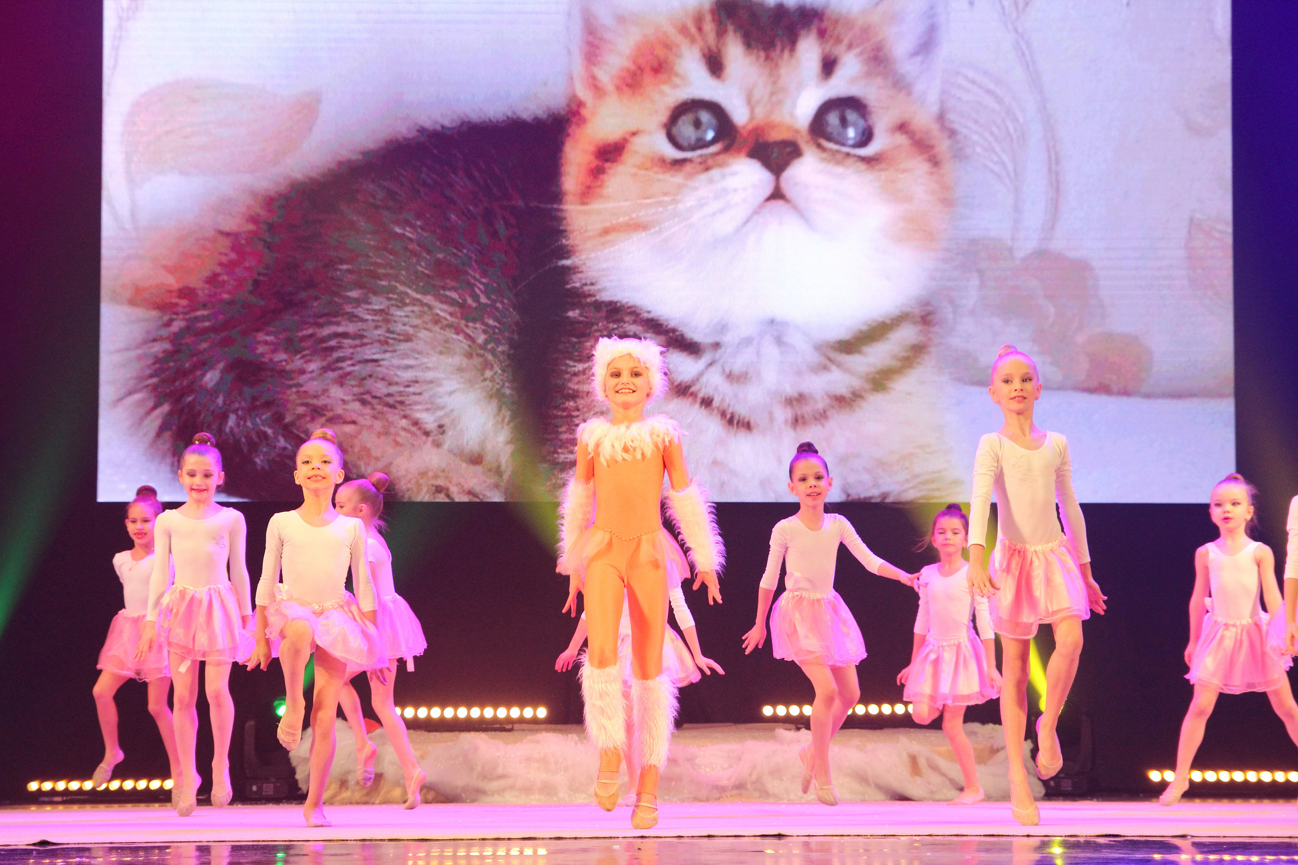 Зимнее настроение. Фотограф Ирина Колесникова